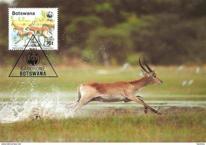 1988 - BOTSWANA GABORONE - Red Lechwe - Antilope Kobus leche