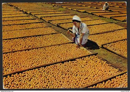 Bechuanaland Drying Apricots postcard used 1957