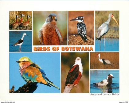 CPSM Format spécial - Birds of Botswana - Oiseaux - Beau timbre     L2230