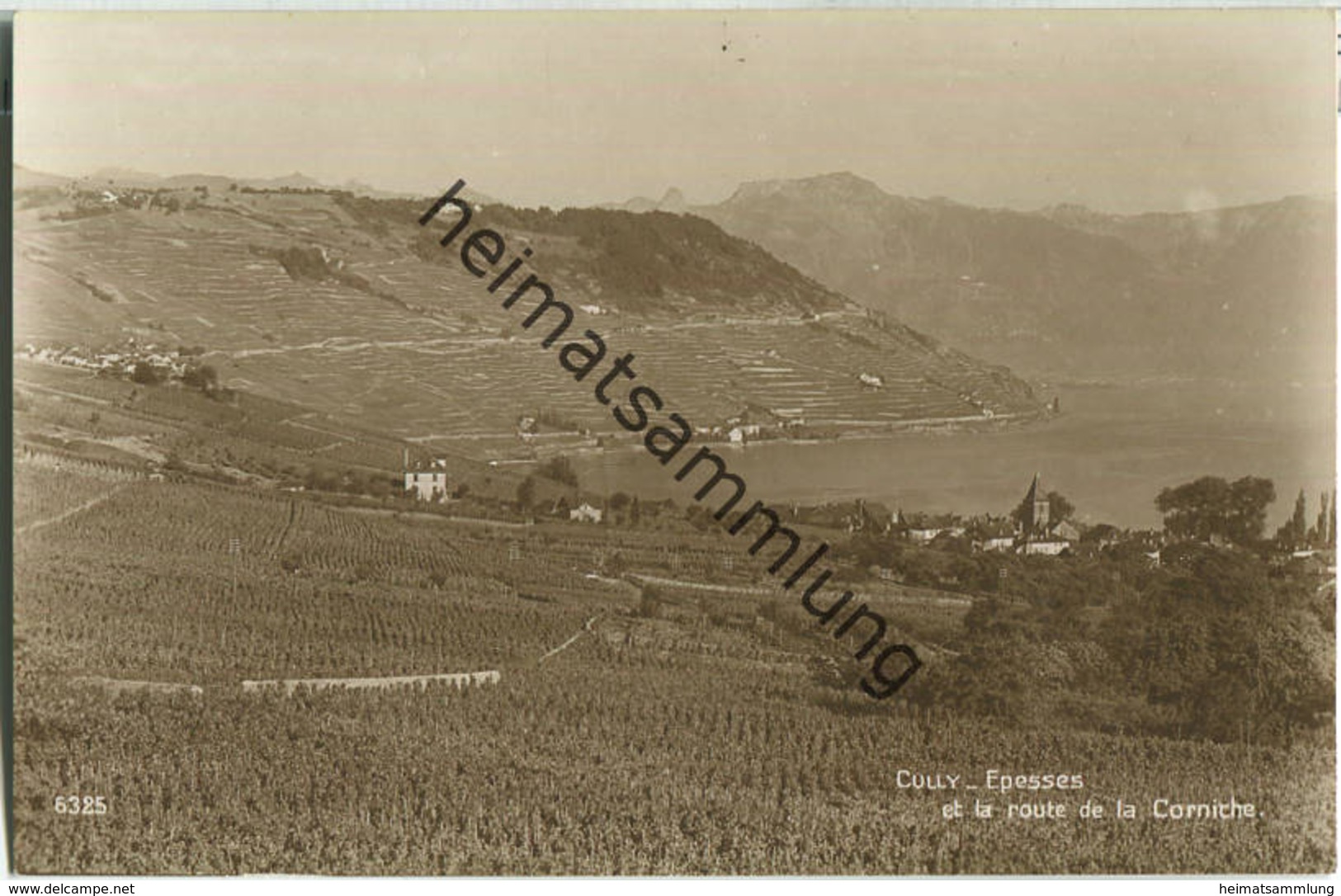 Bourg-en-Lavaux - Cully - Epesses - Foto-Ansichtskarte