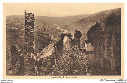 AOTP2-0150-LUXEMBOURG - BOURSCHEID - les ruines