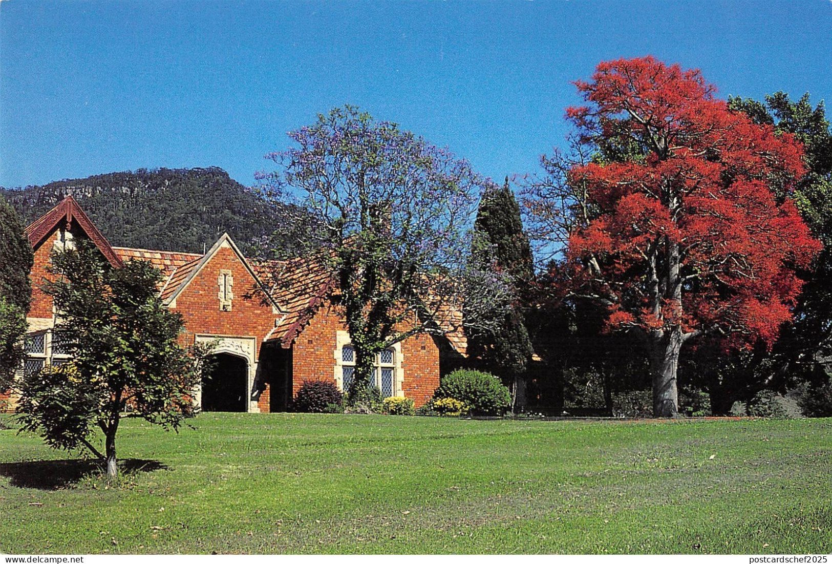 BR101853 gleniffer brae manor house illawarra flame tree wollongong   australia