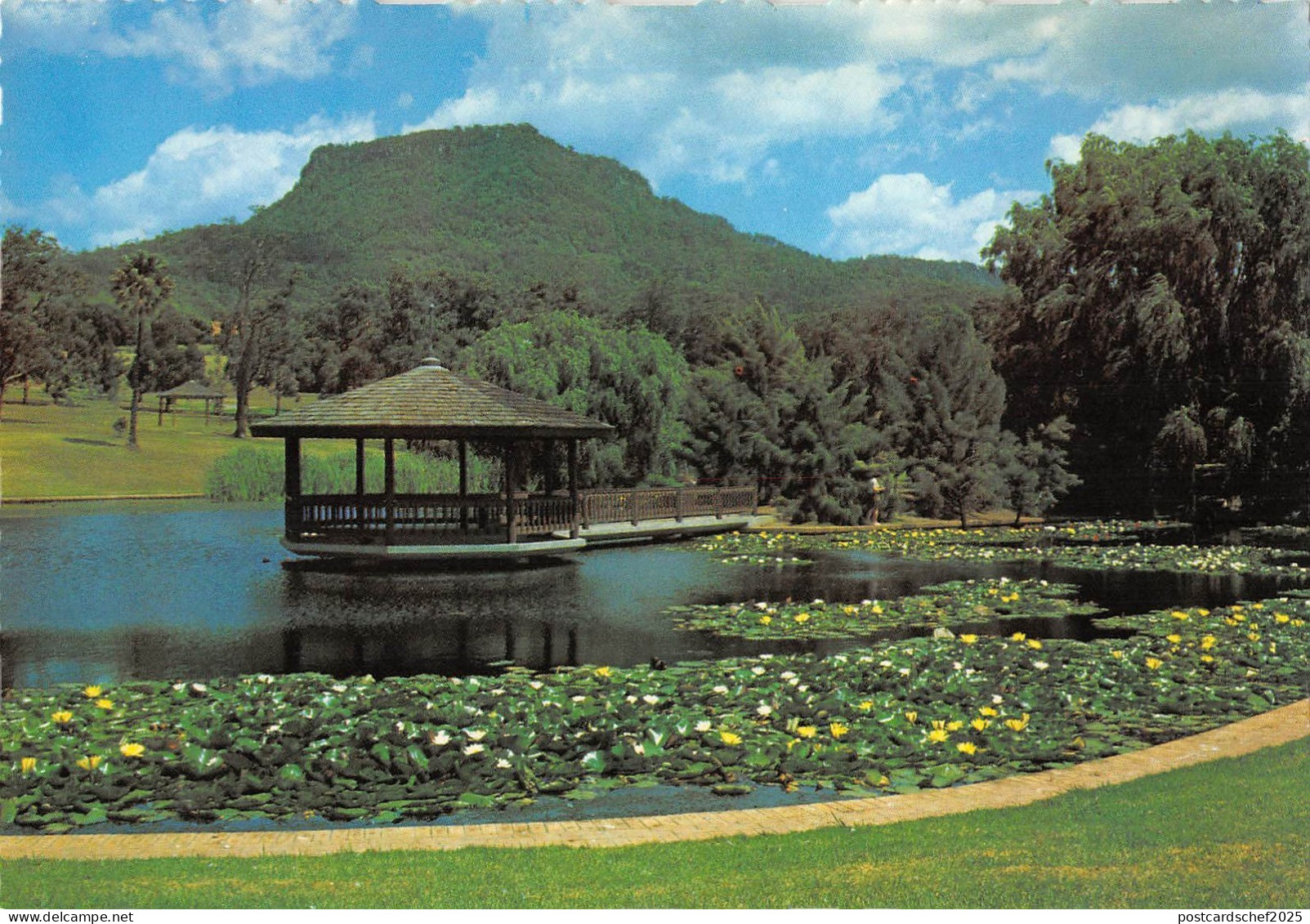 BR101856 wollongong botanic garden keiraville nsw   australia