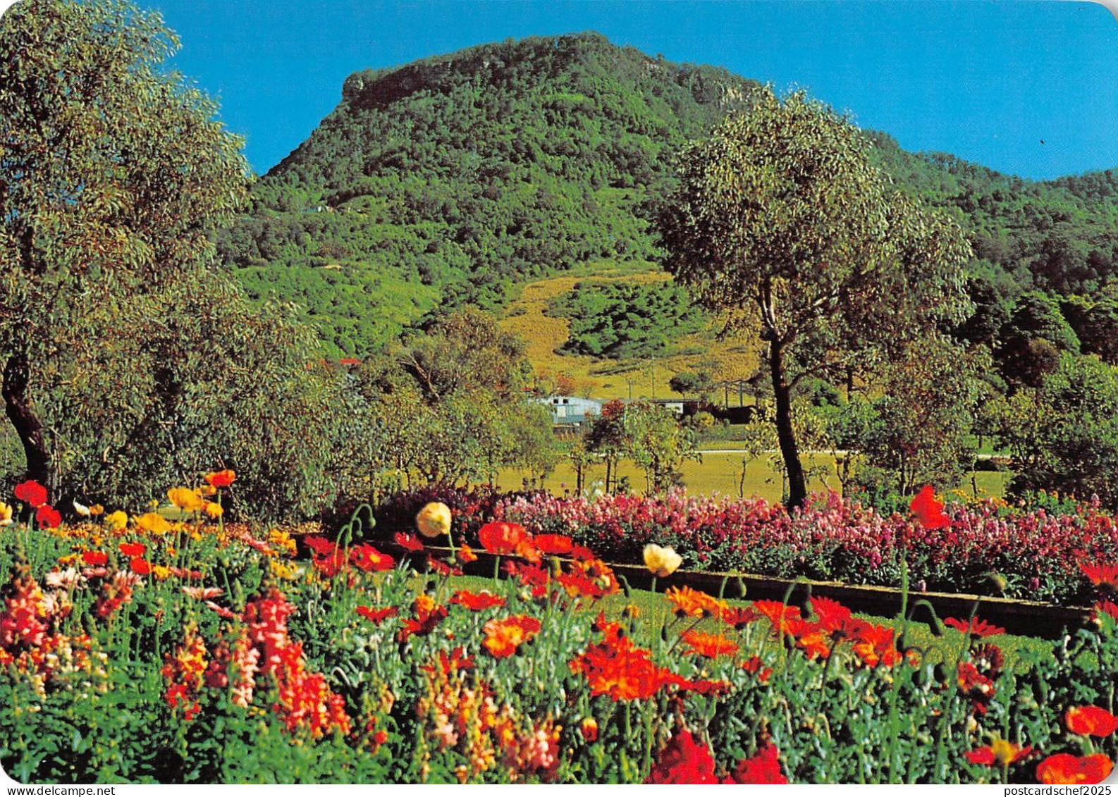 BR101857  wollongong mt keira botanical gardens nsw  australia