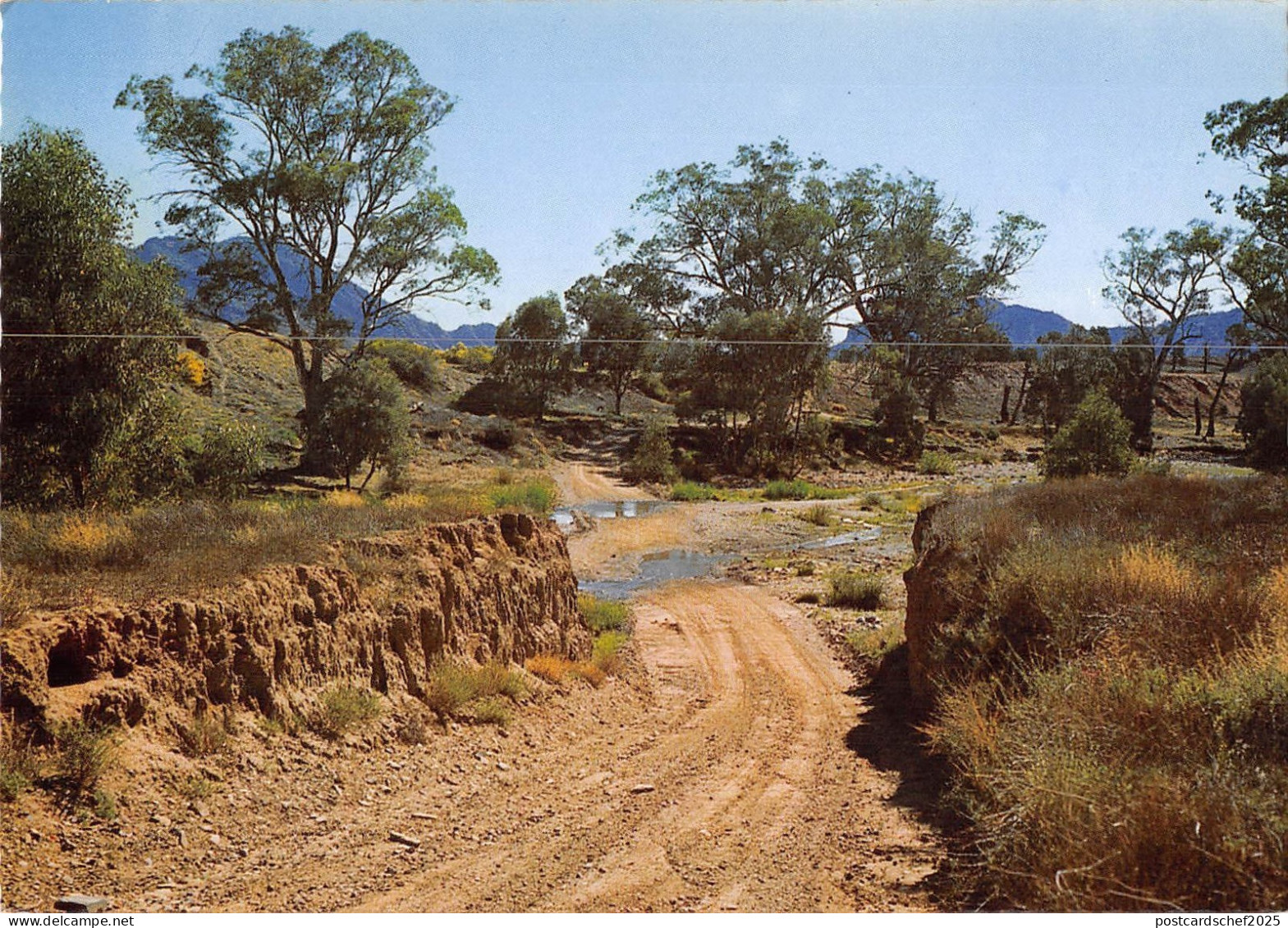 BR101934 flinders ranges south   australia