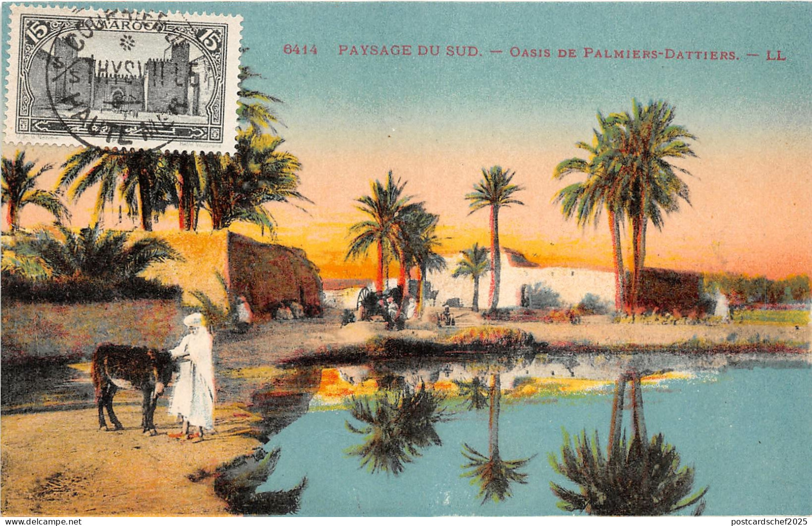 br104377 paysage du sud oasis de palmiers dattiers  africa algerie