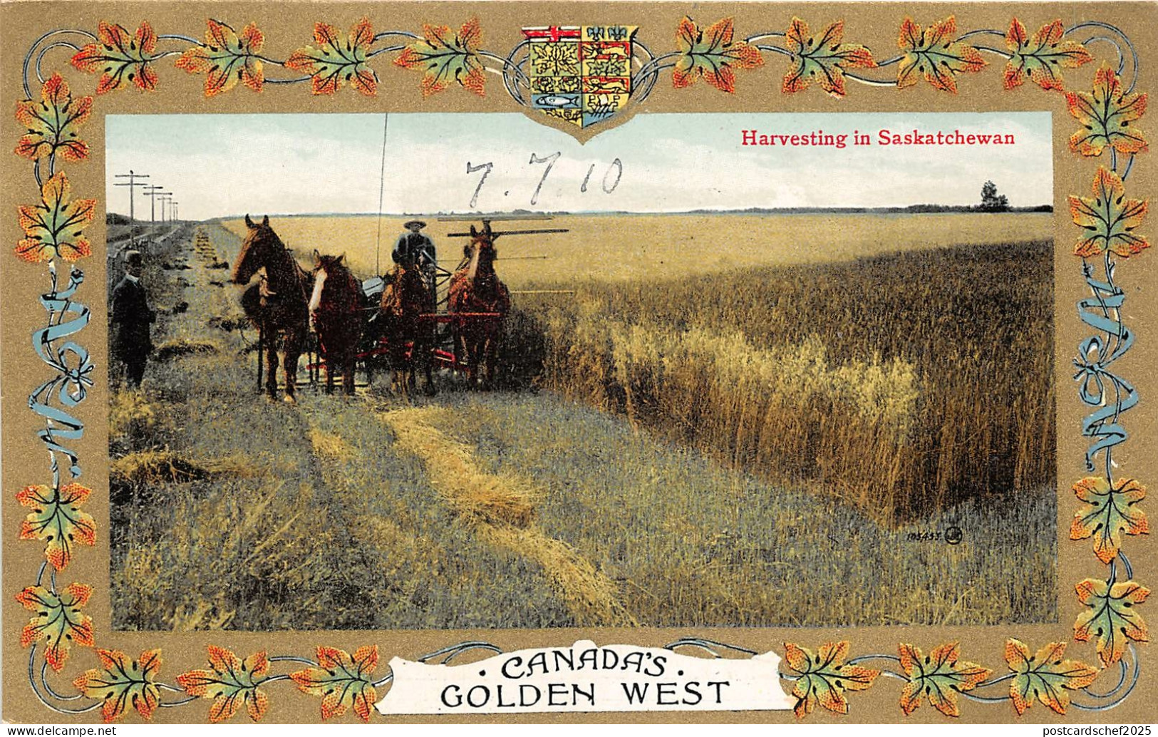 br105755 harevsting in saskatchewan canada golden west
