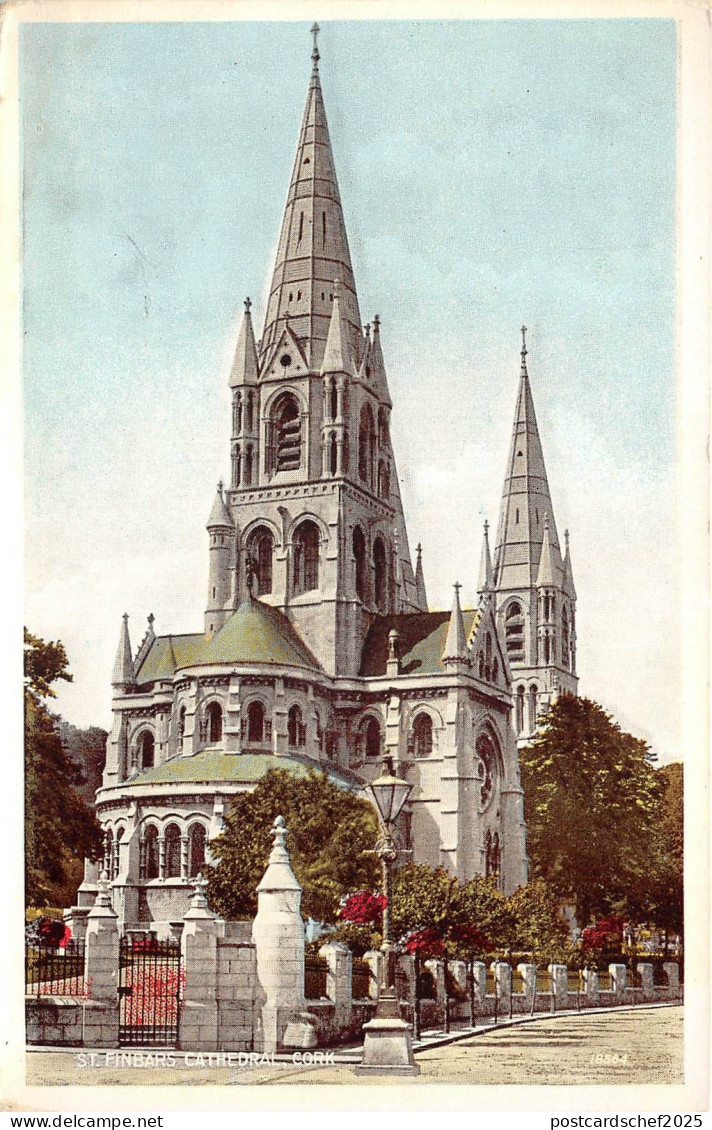 br108221 st finbars cathedral cork ireland