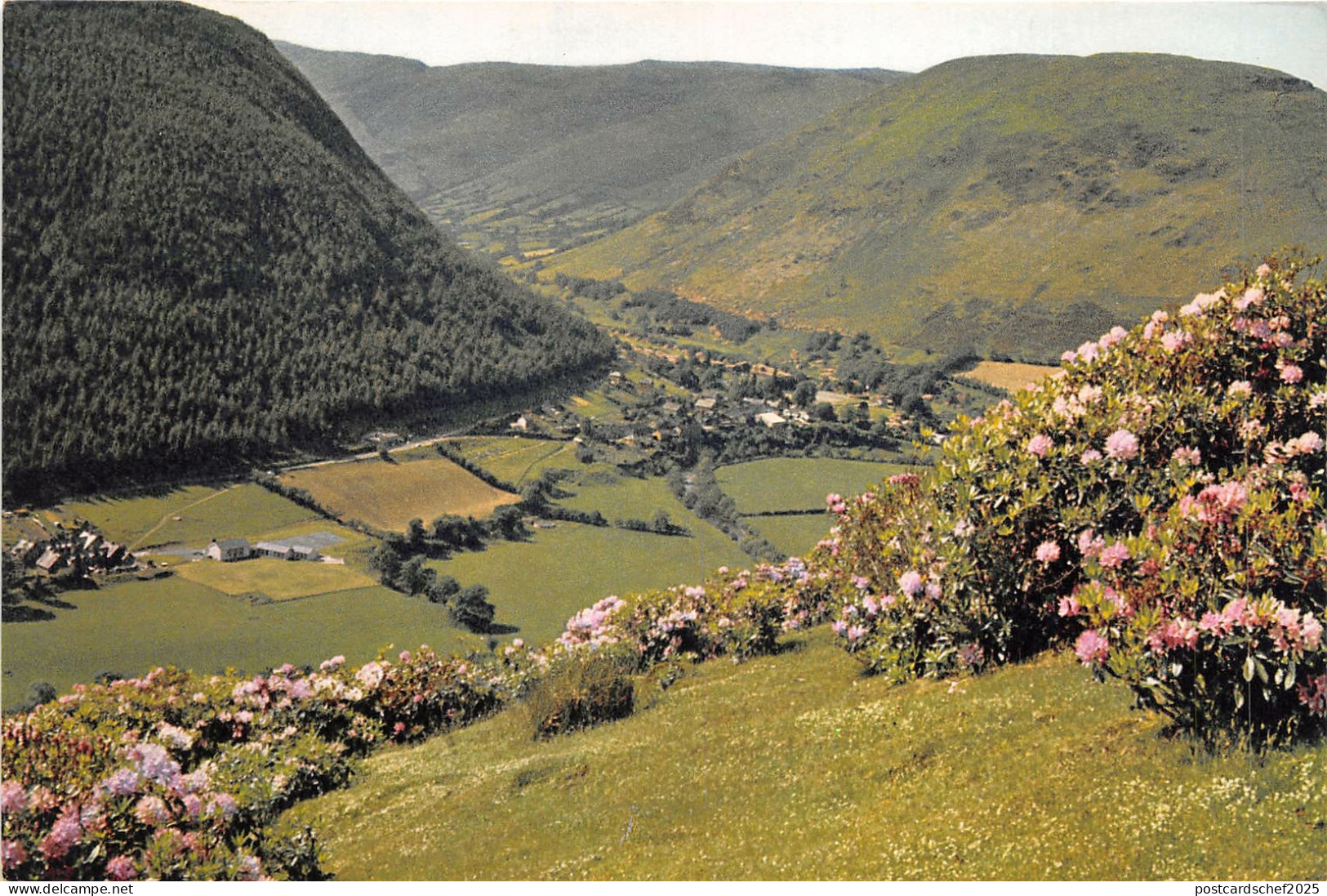 br108942 pass at dinas mawddy merionethshire wales uk