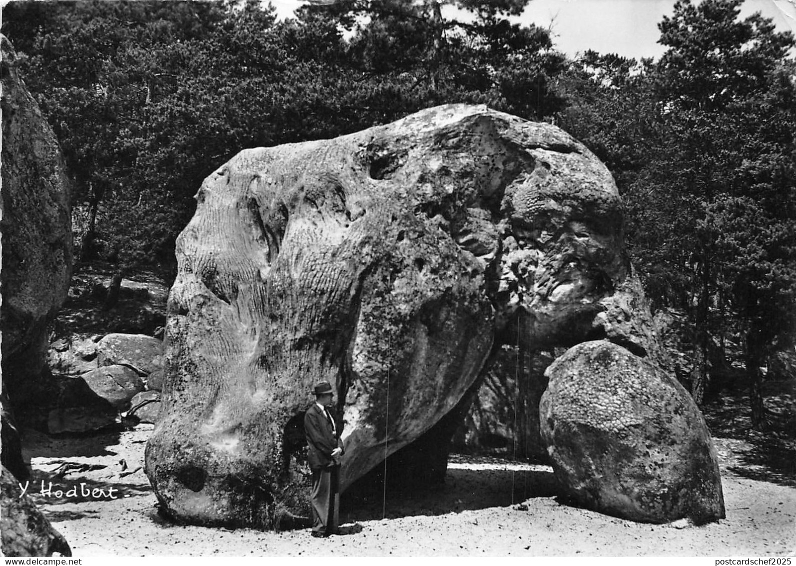 BR11307 Larchant Elephant france