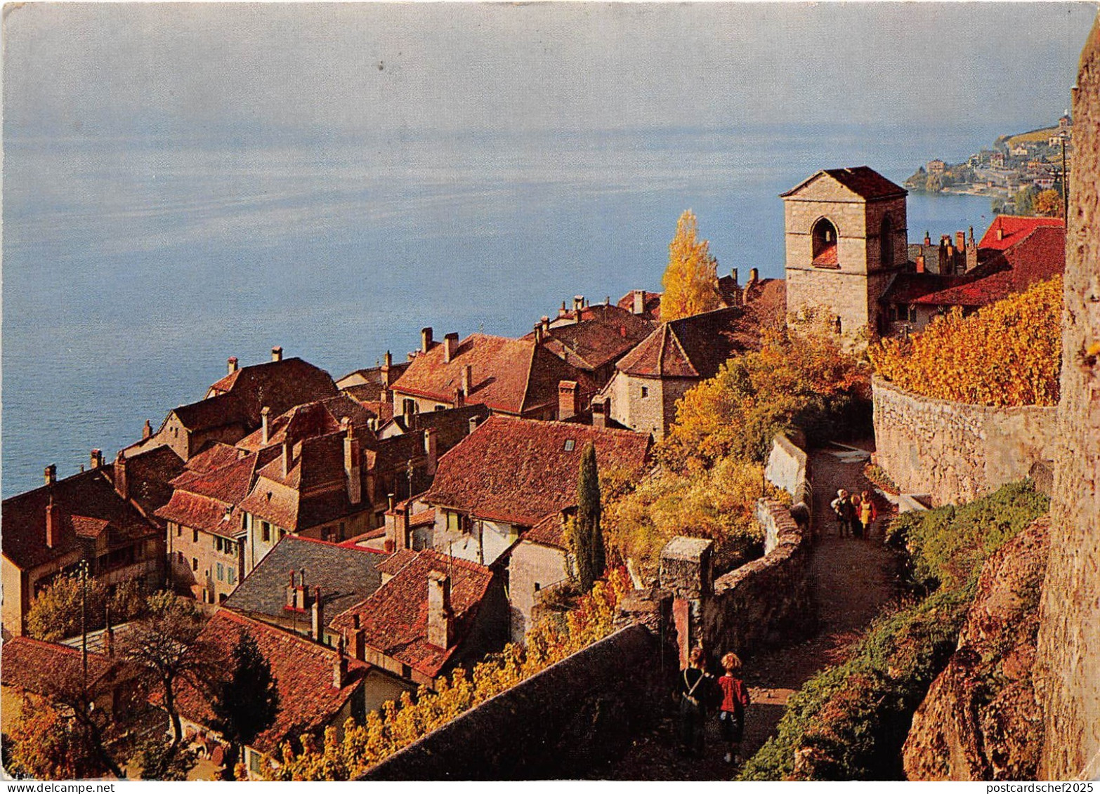 BR12789 Le lavaux Saint saphorin france