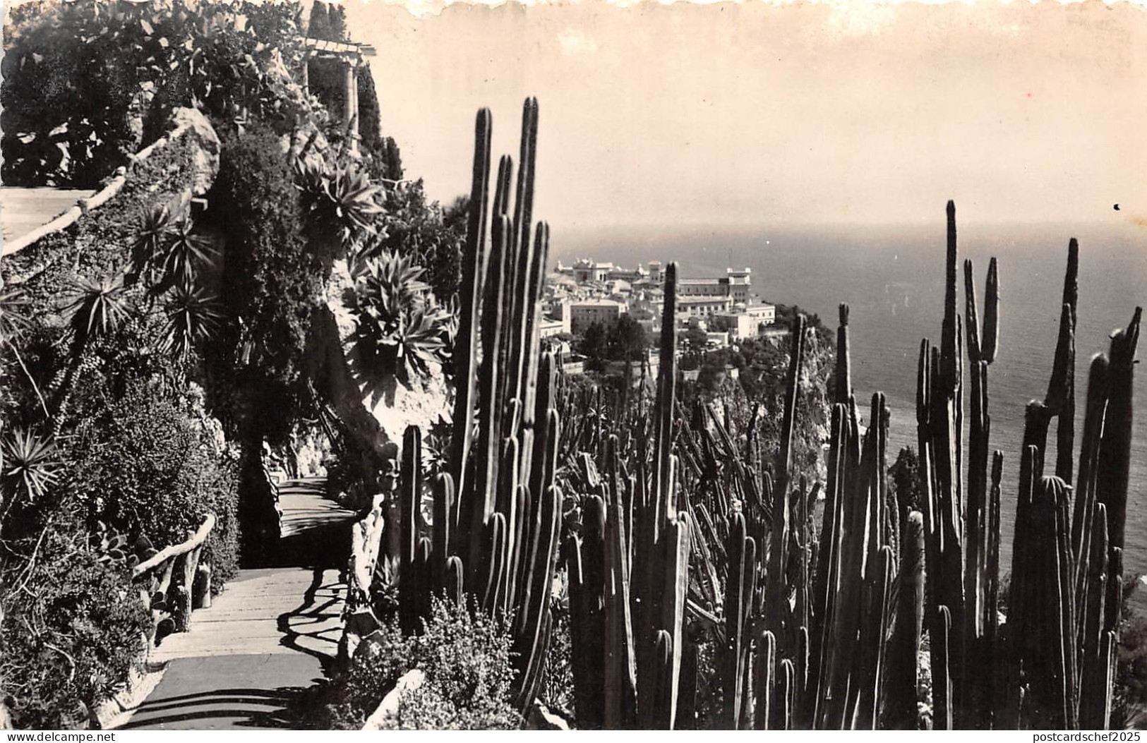 BR16373 Jardin Exotique de Monaco