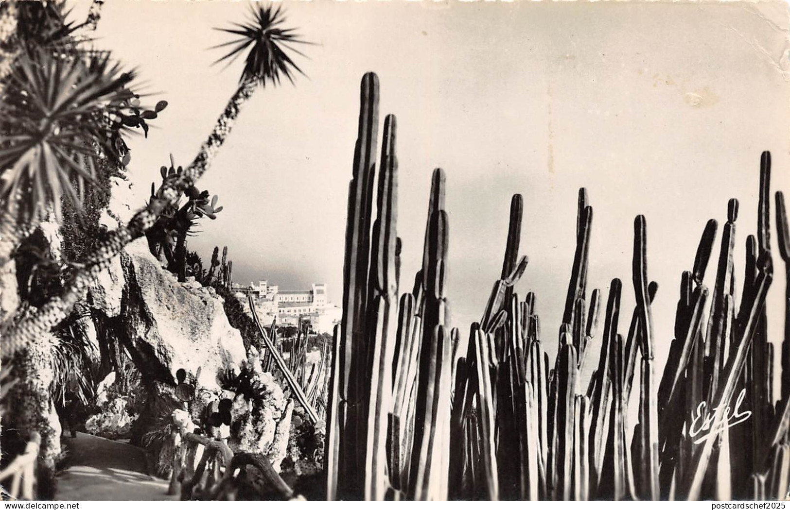 BR16376 Monaco le rocher vu du jardin Exotique