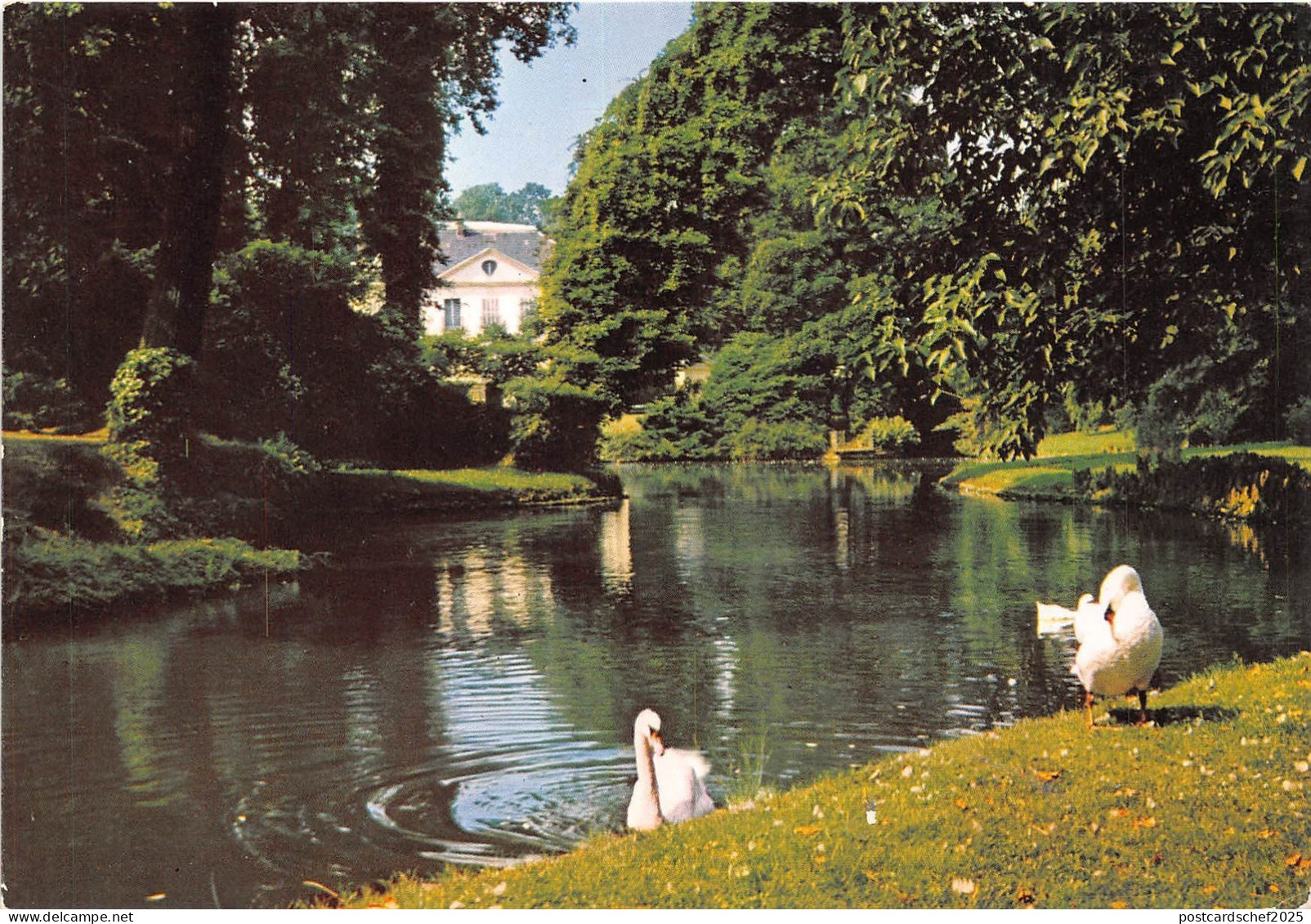 BR22501 Chatenay Malabry Pepiniere Croux cigne swan france