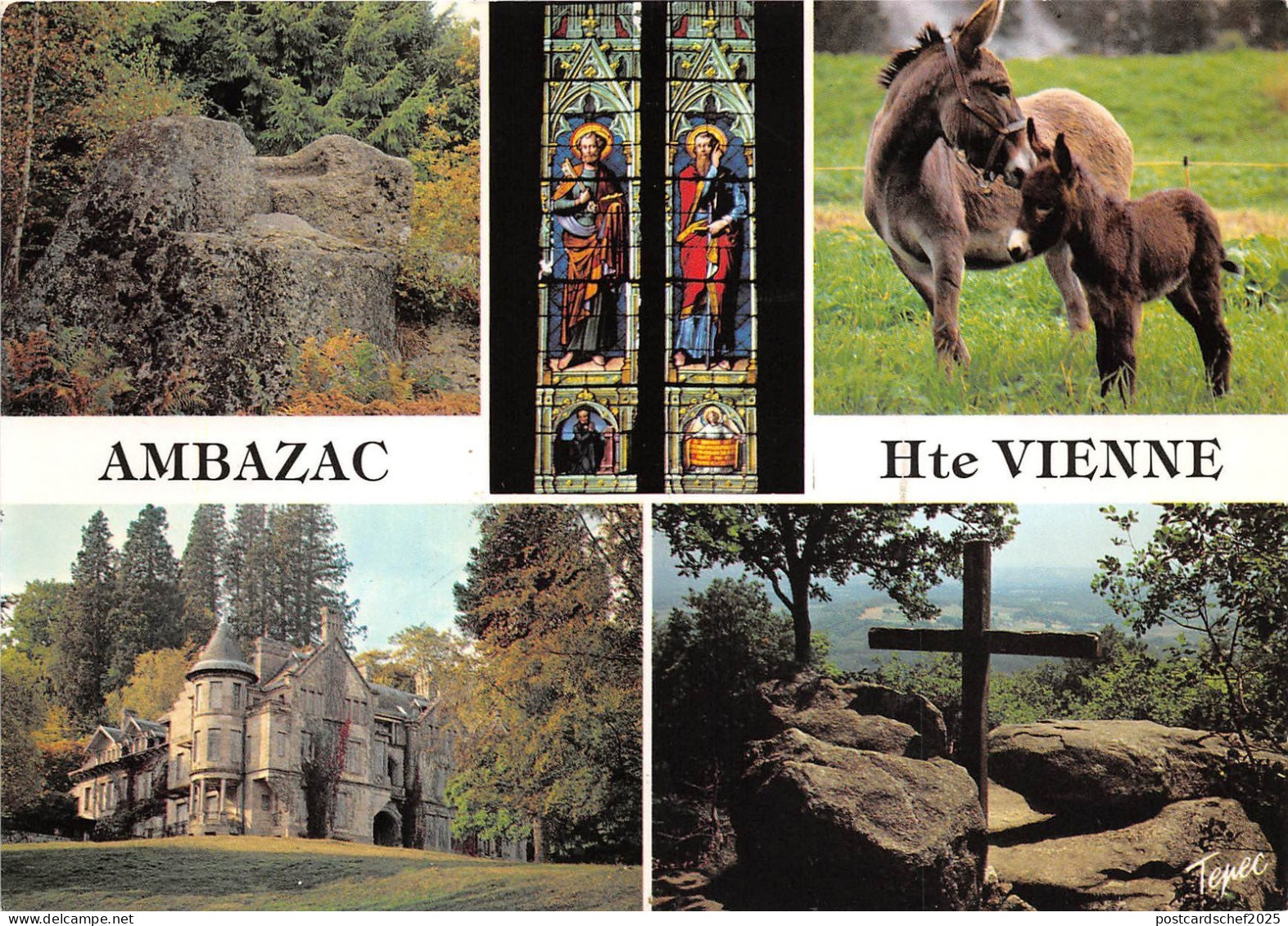 BR2393 France Ambazac anes donkeys multi vues