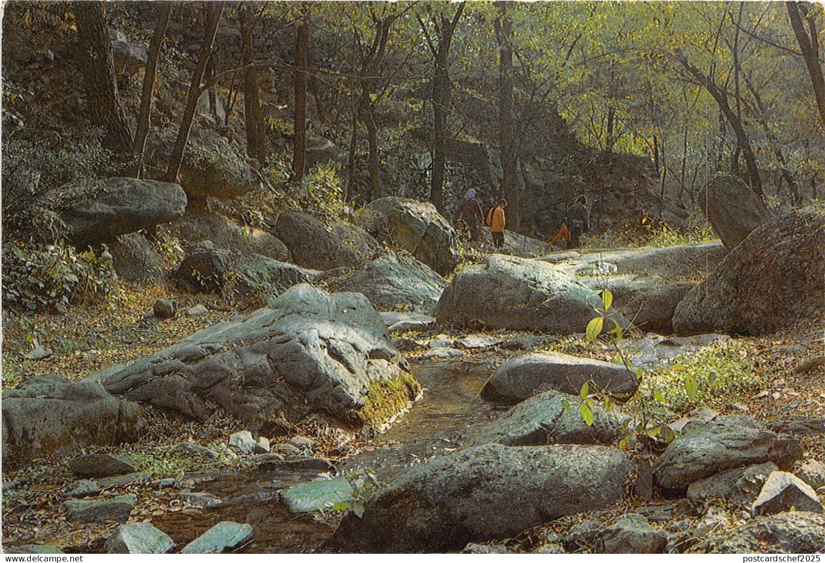 BR26004 Rivulet in Cherry Vale Fragrance Hill Park China