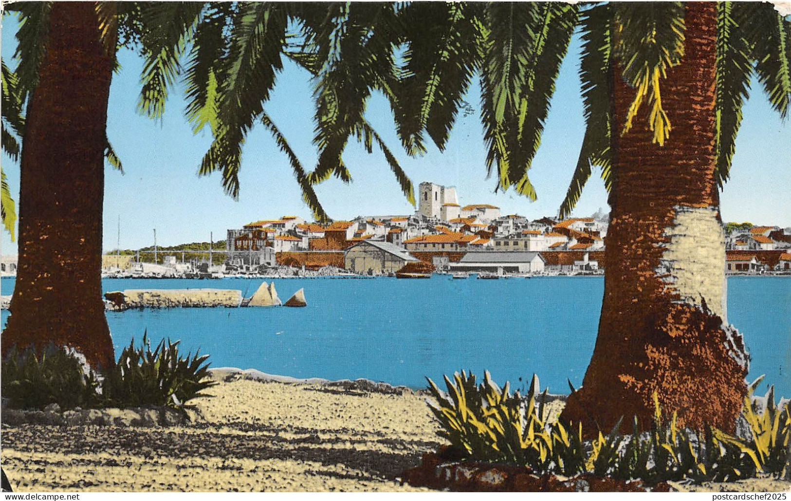 BR26777 Antibes echapee sur la vieille ville a travers les palmiers France