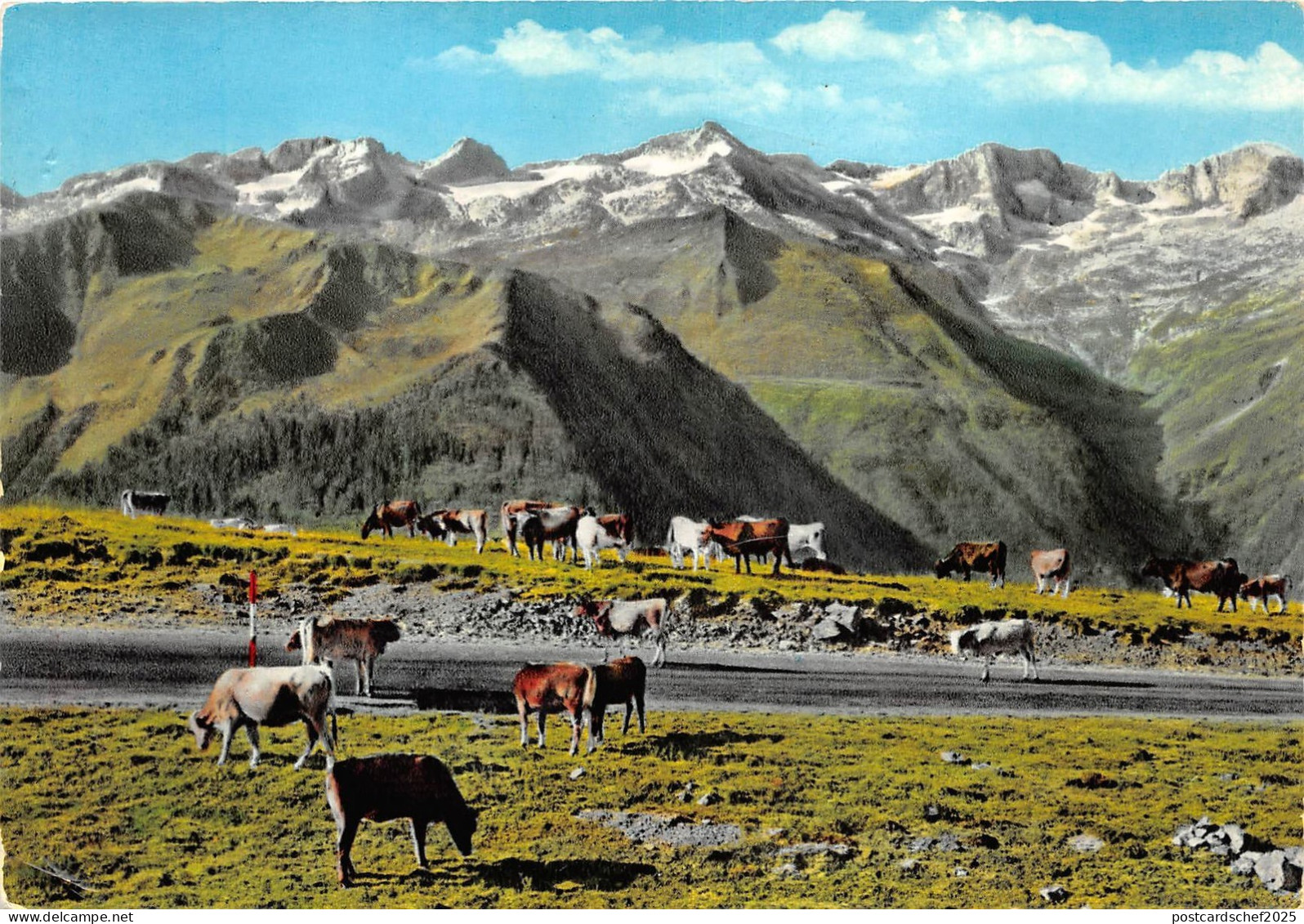 BR27241 Luchon route de Luchon cow vaches france