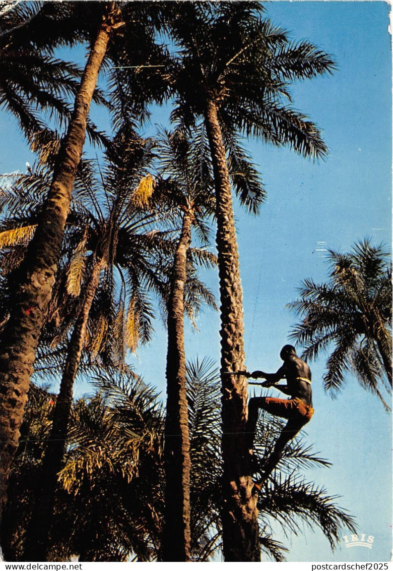 BR27620 Senegal cap skirung scene de vie senegal