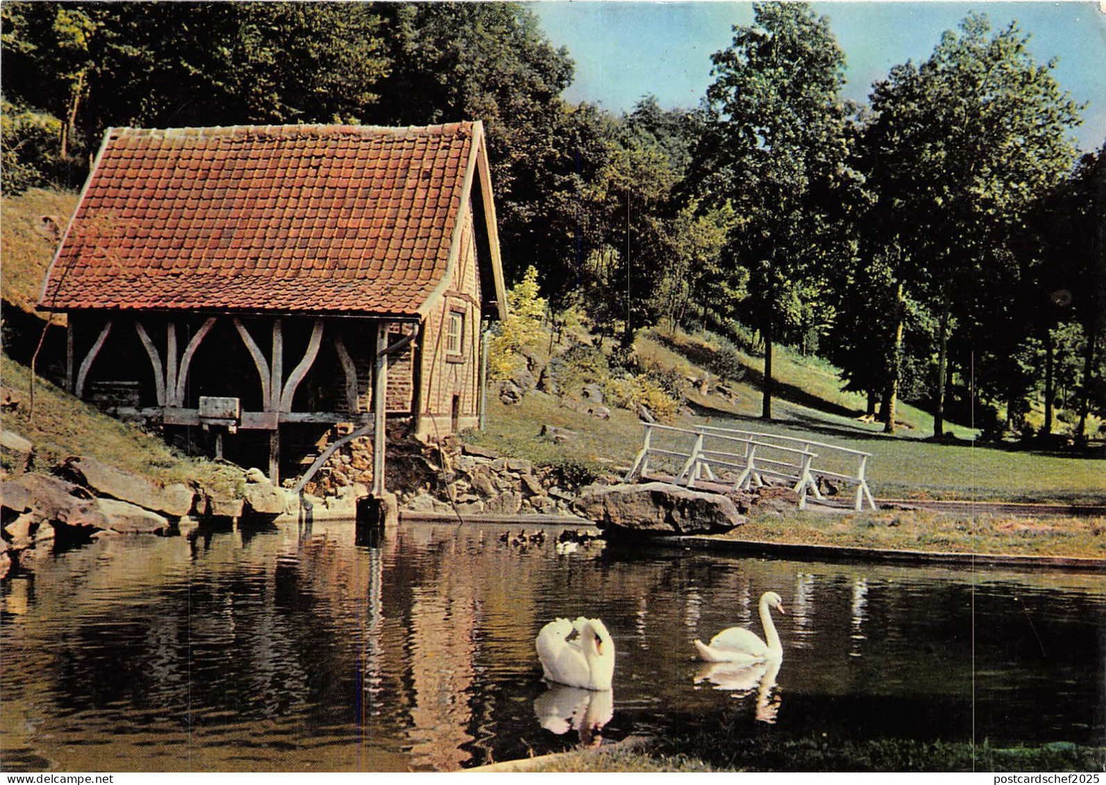 BR28534 grottes Historique de Naours swan cigne france