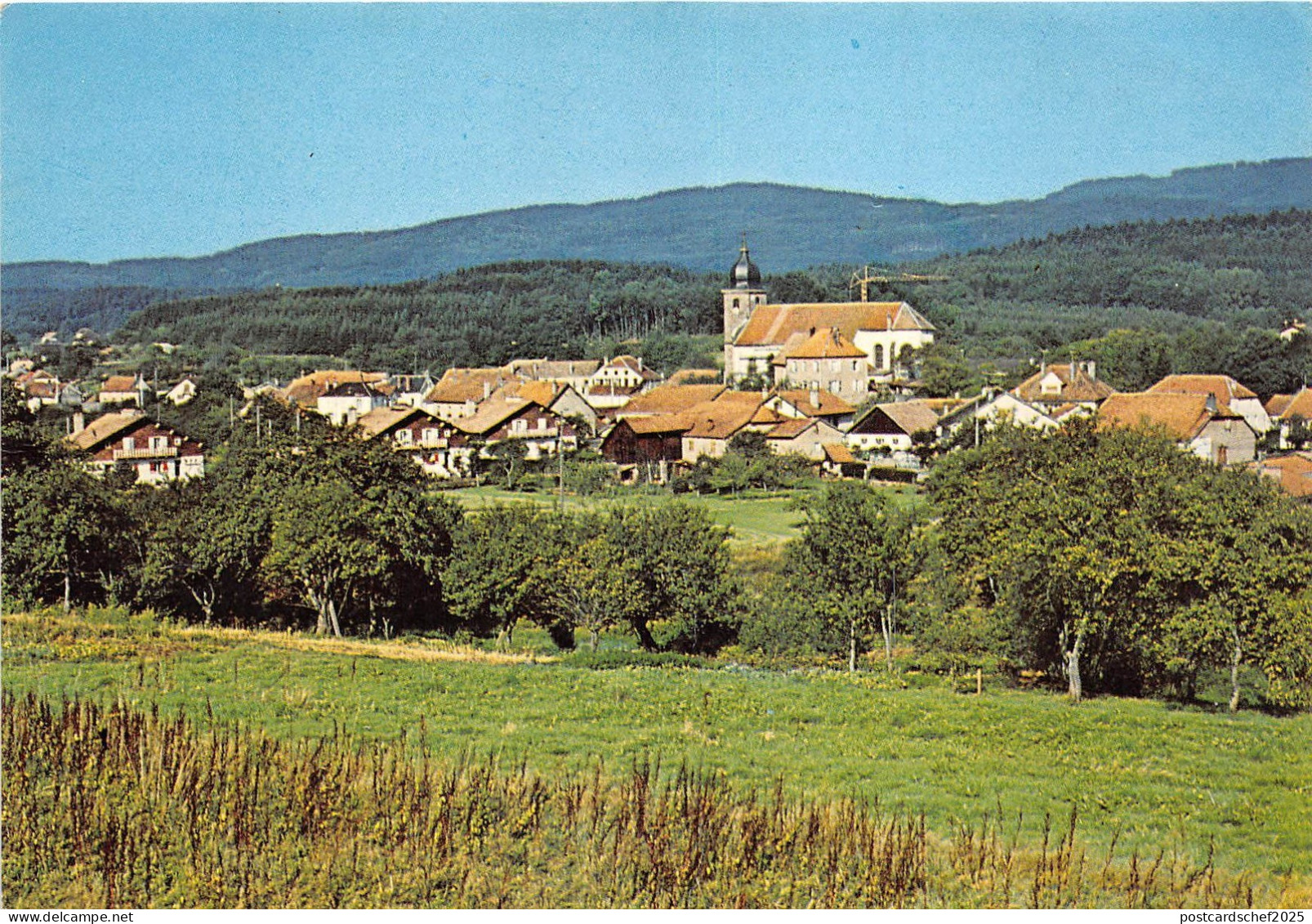 BR31081 Provencheres sur Fave vue generale france