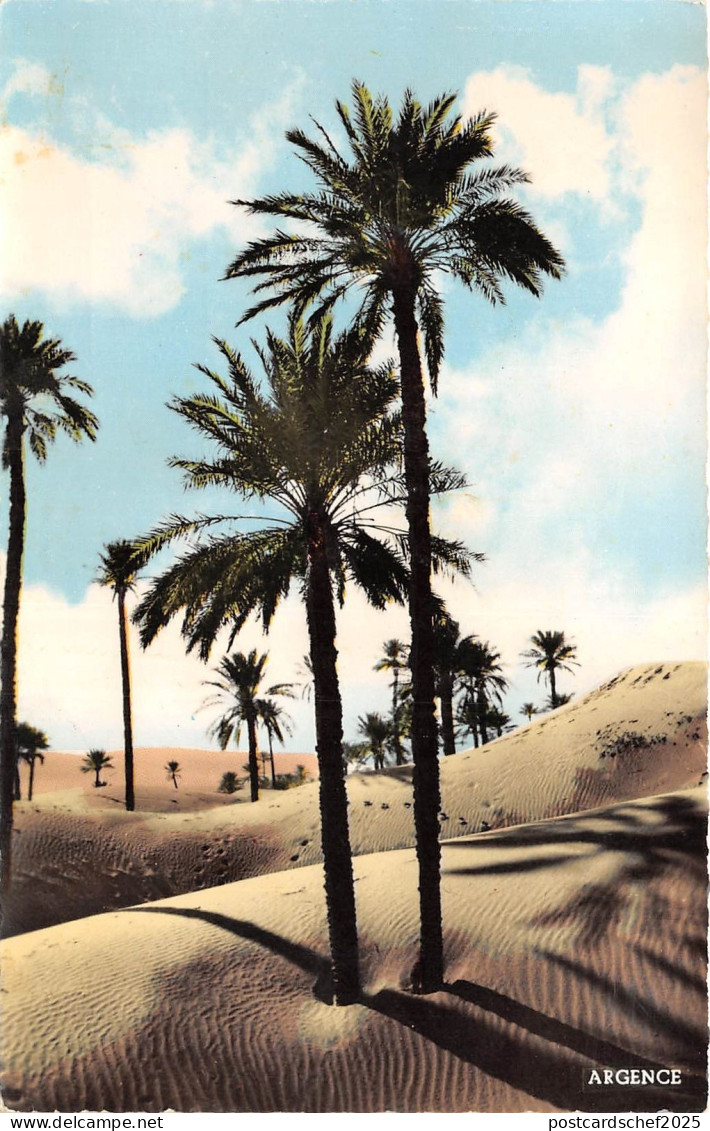 BR40419 Colomb Bechar les dunes    Algeria