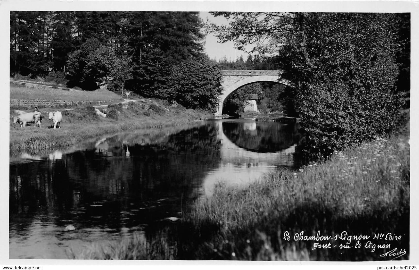 BR40858 le chambon sur lignon     France