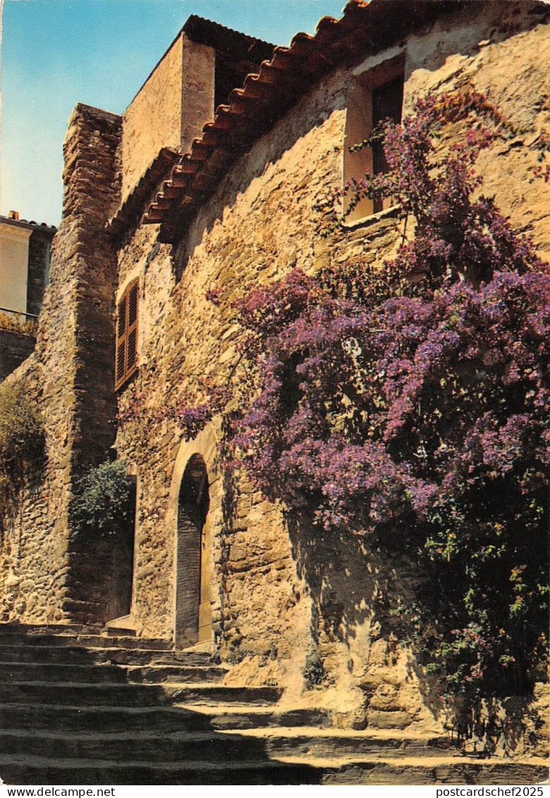 BR48084 Bormes les mimosas coin pittoresque     France