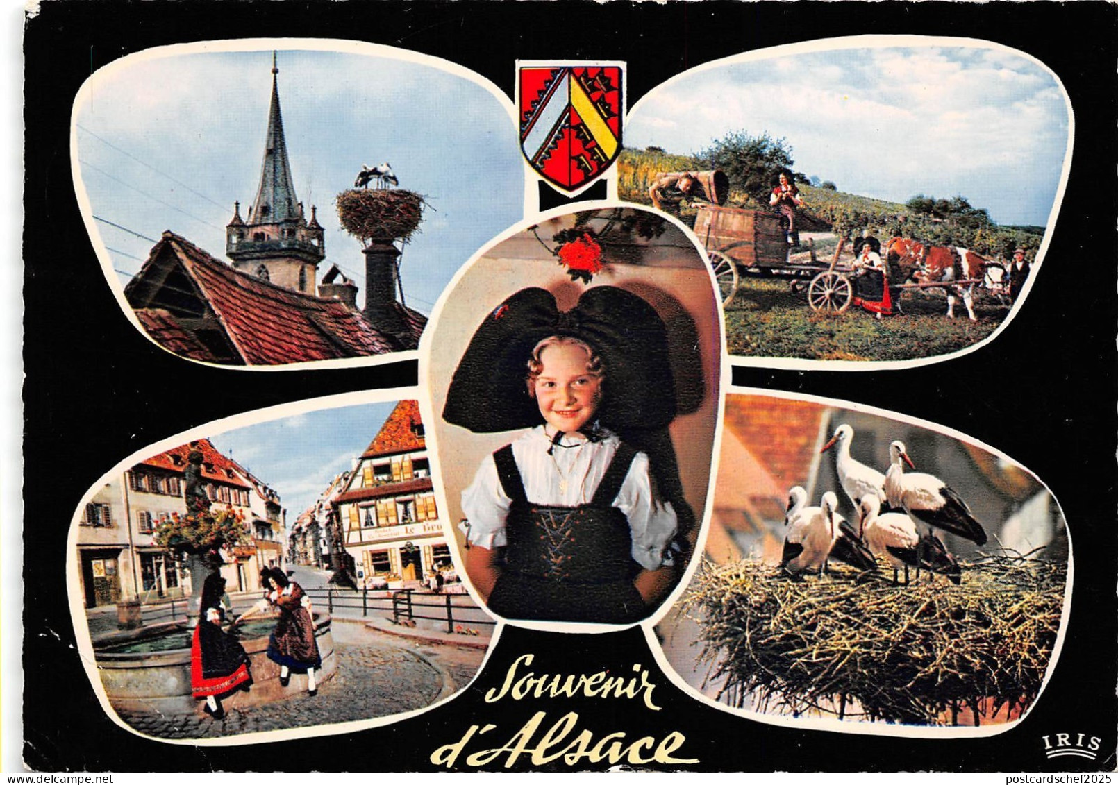 BR4839 Alsace   france