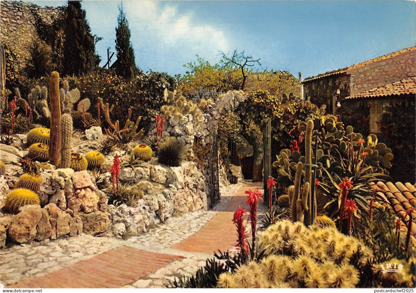 BR49166 Eze village le jardin exotique      France