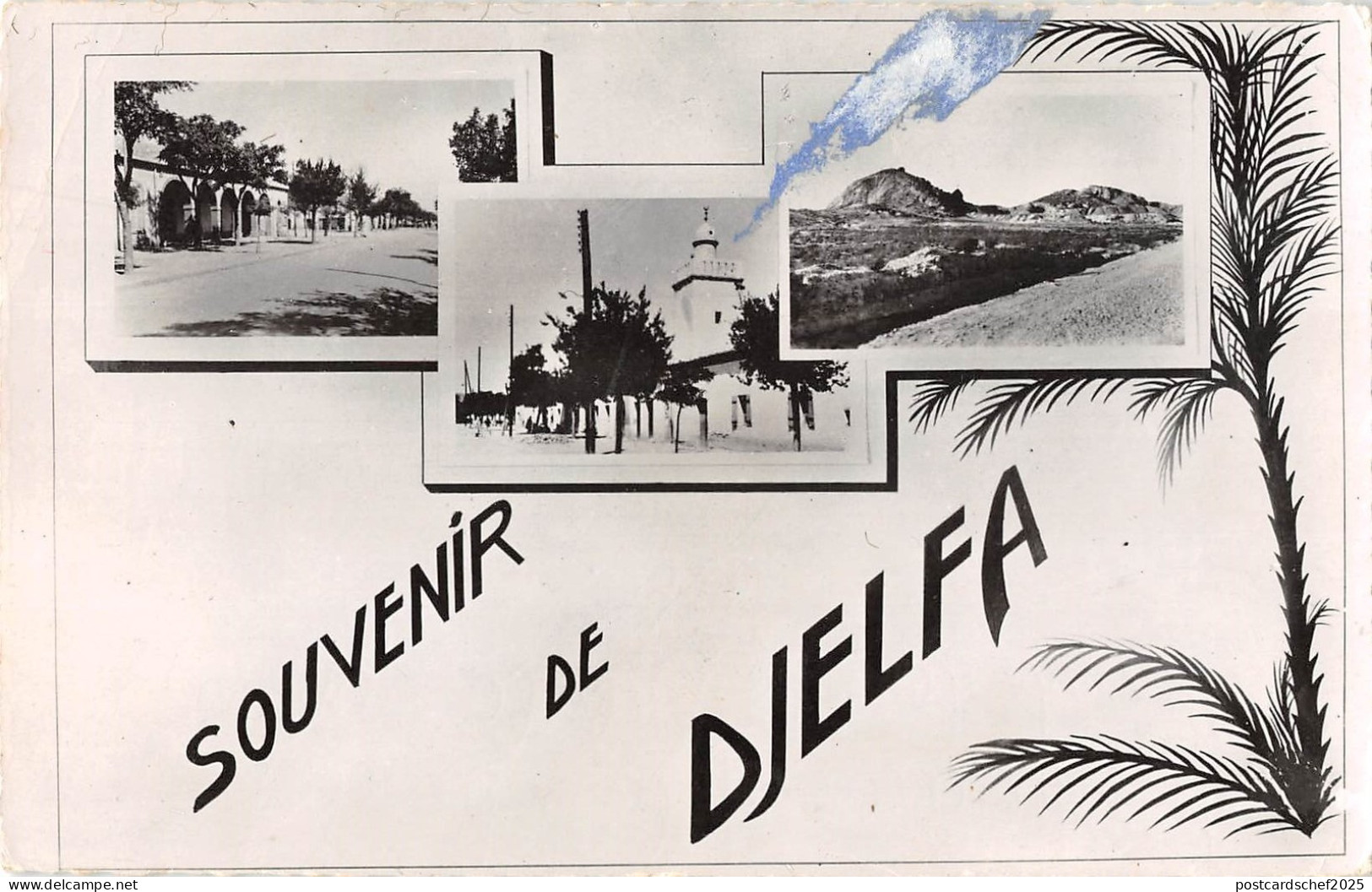 BR49626 Djelfa     Algeria