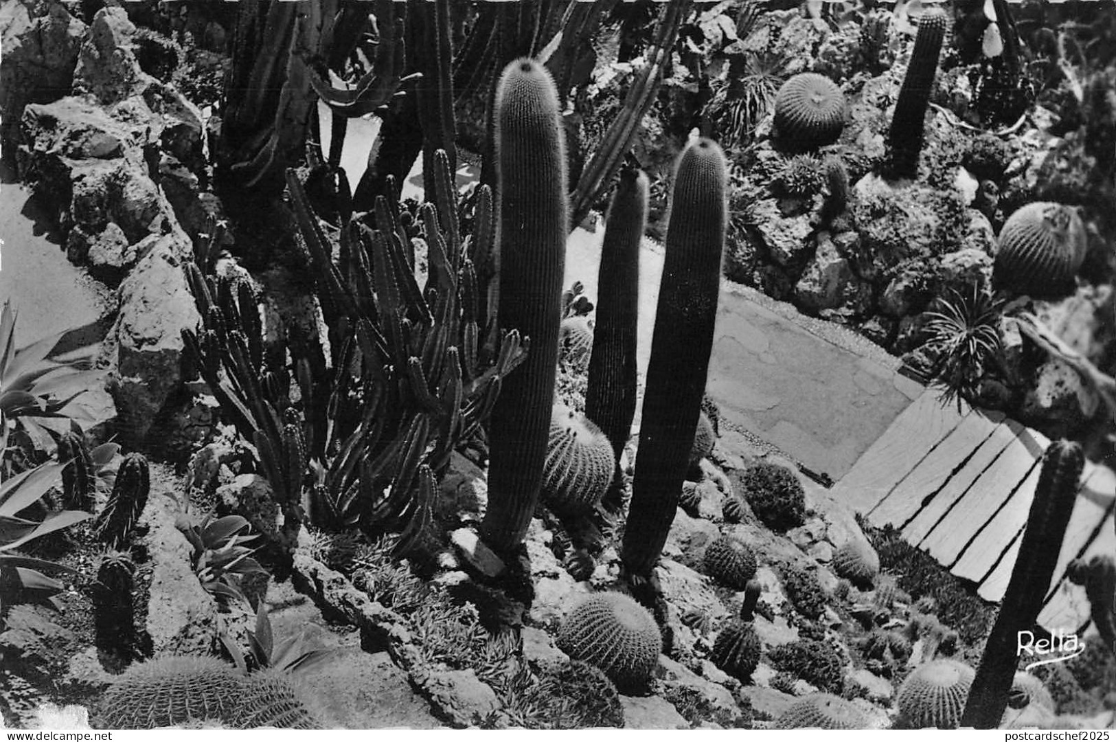 BR50546 Monte carlo le jardin exotique   Monaco