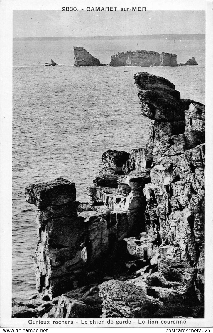 BR51125 Camaret sur mer le chien de garde France