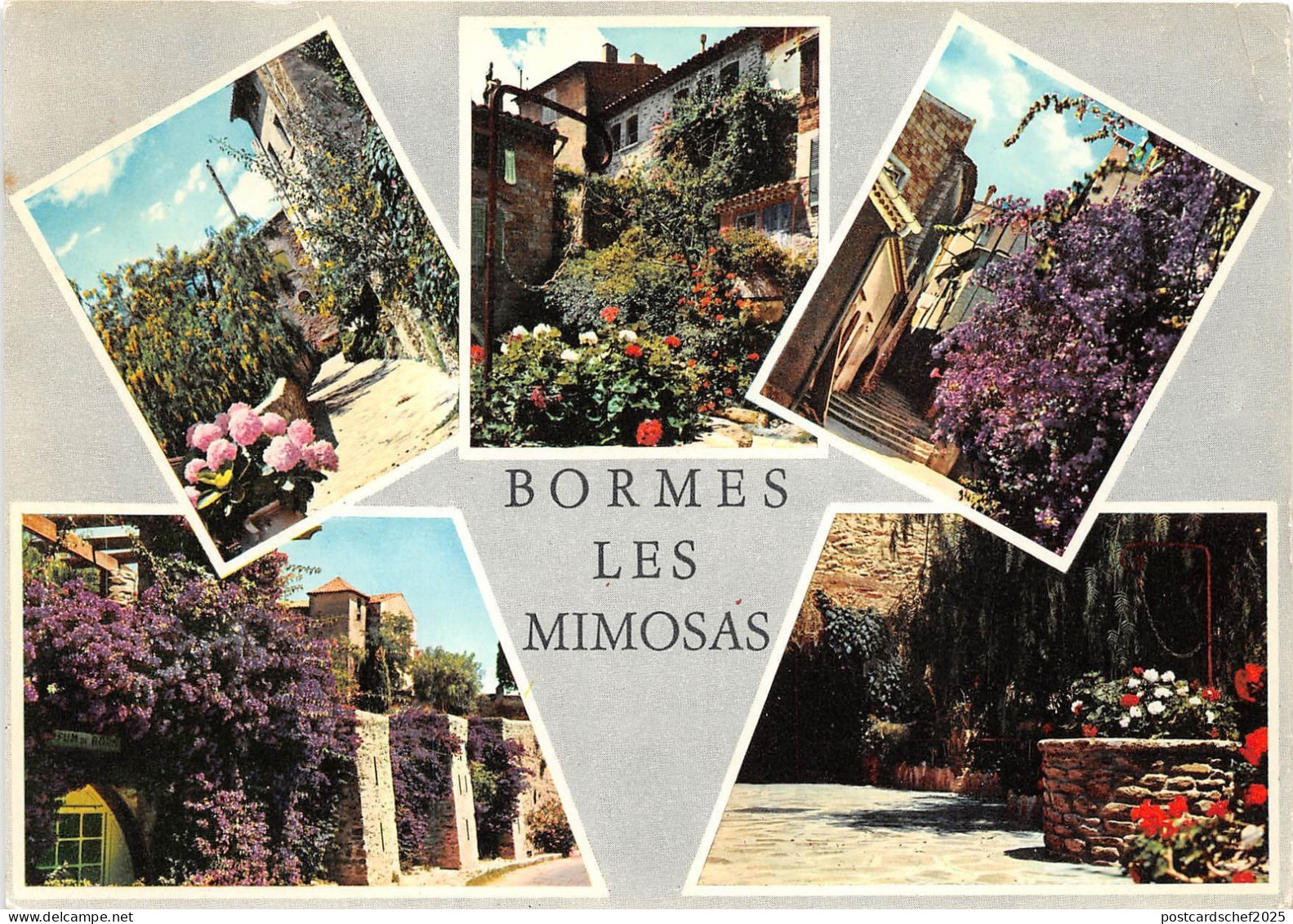 BR5163 Bormes les Mimosas  france
