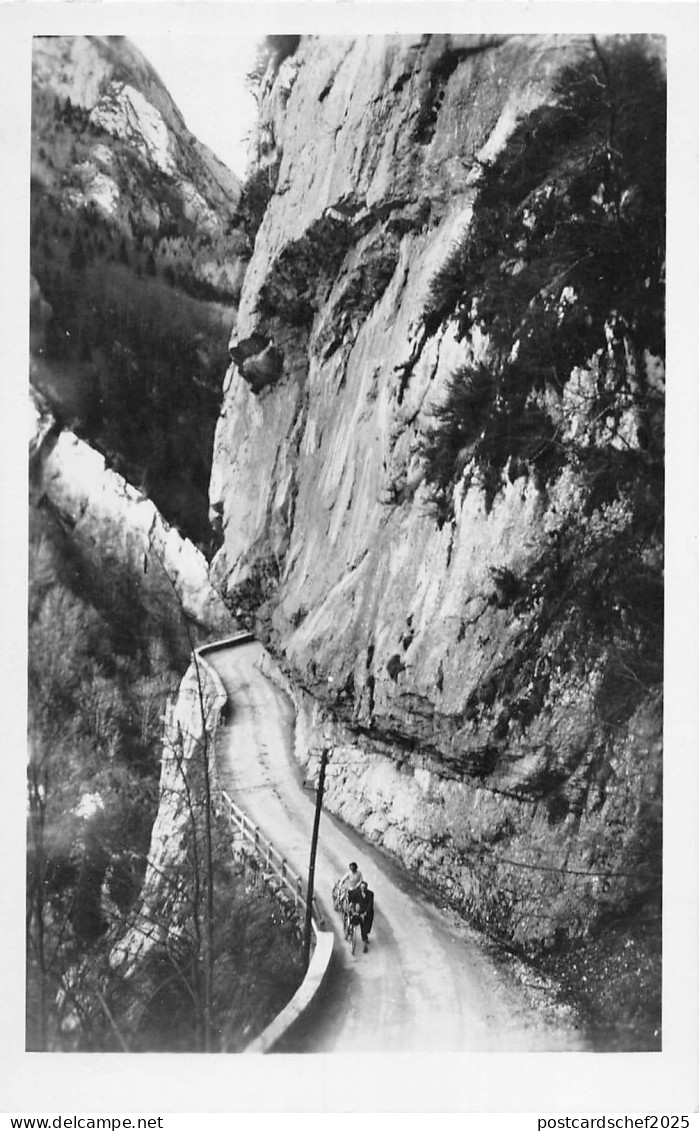 BR52951 En Chatreuse Gorges du Guiers Vif       France