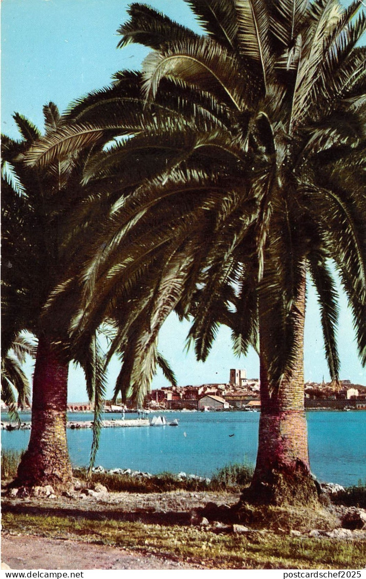 BR5409 ANtibes vue sur vieille ville   france