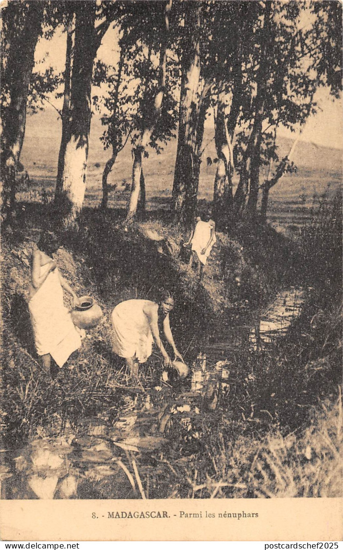 BR56850 madagascar parmi le nenupahrs    Africa  Madagascar