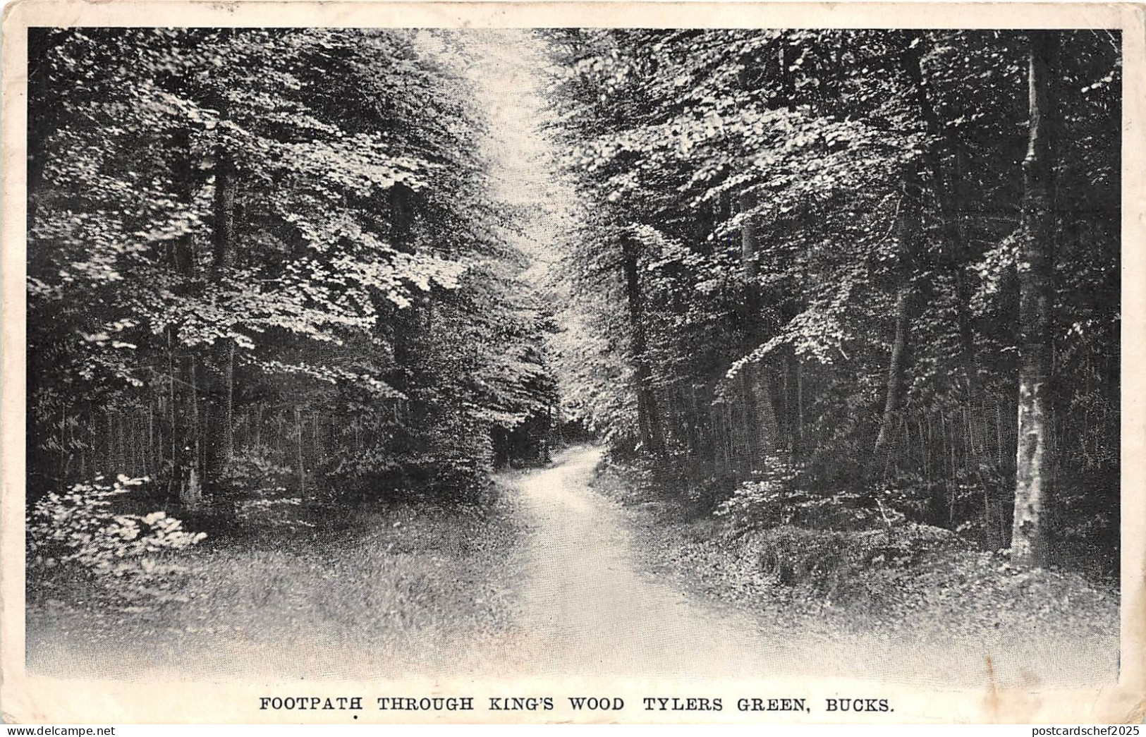 BR60484 footpath throug s king s wood tyler green bucks uk
