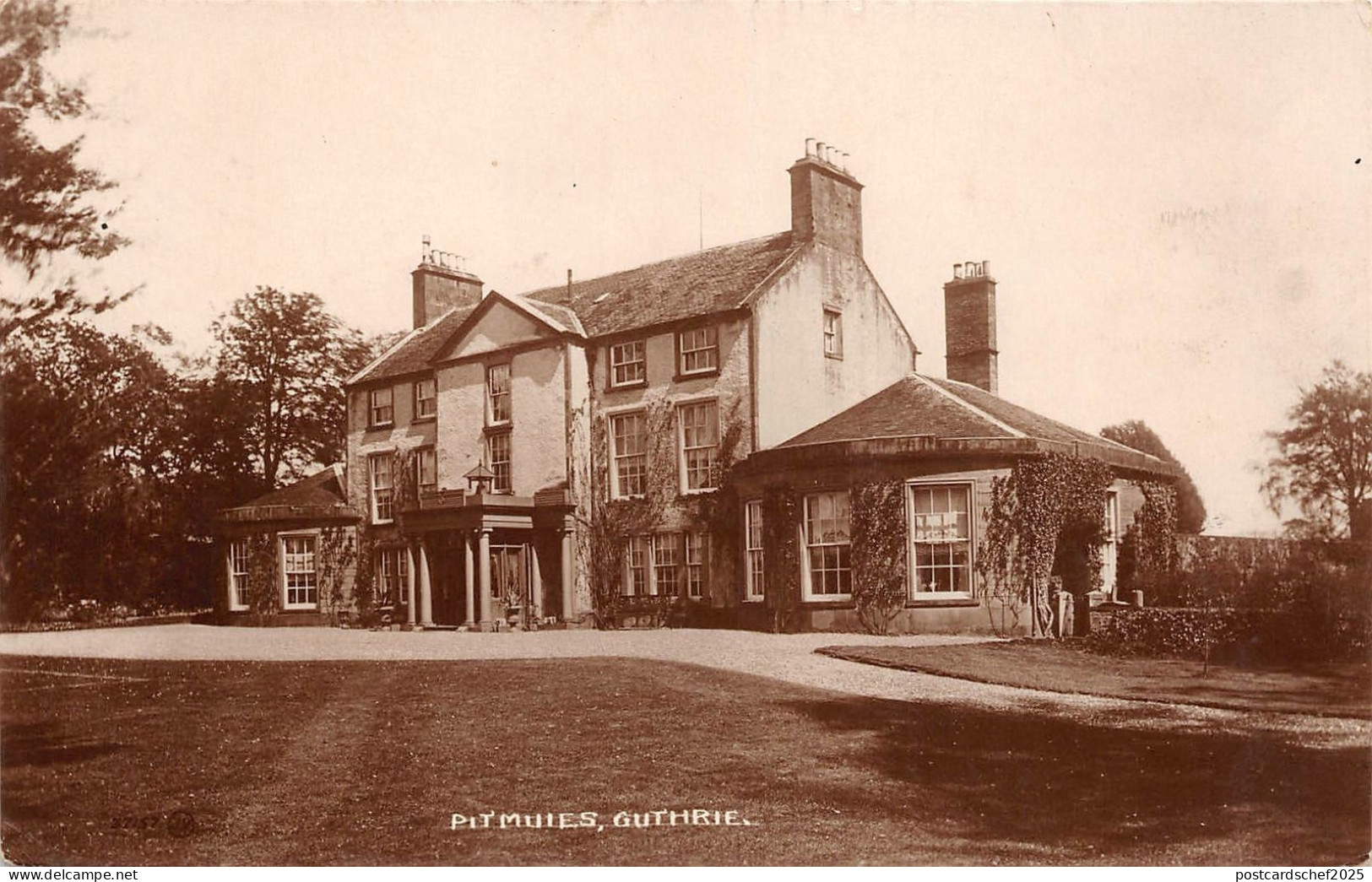 BR63996 pitmules guthrie real photo scotland