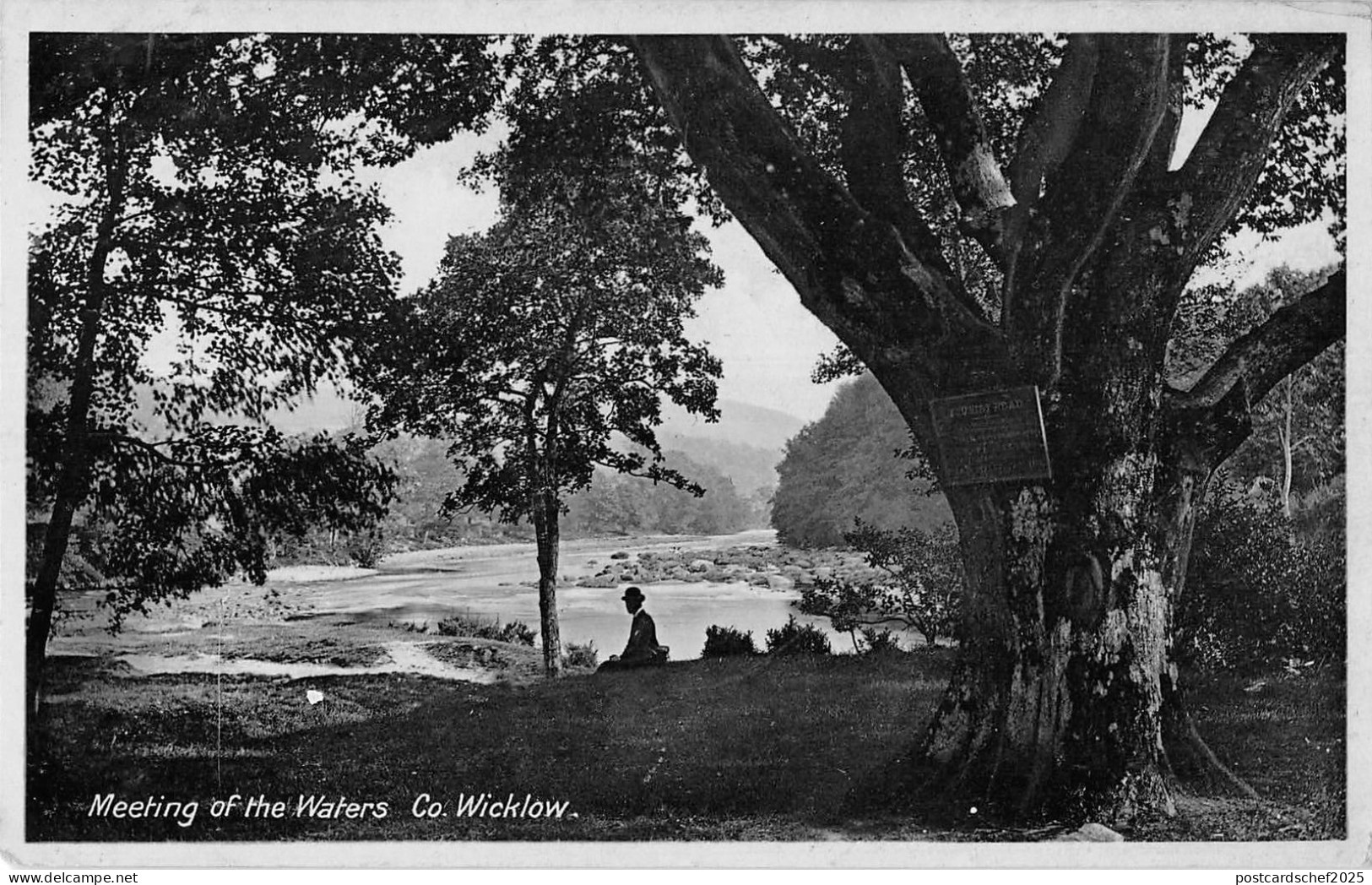 BR70440 meeting of the waters wicklow ireland