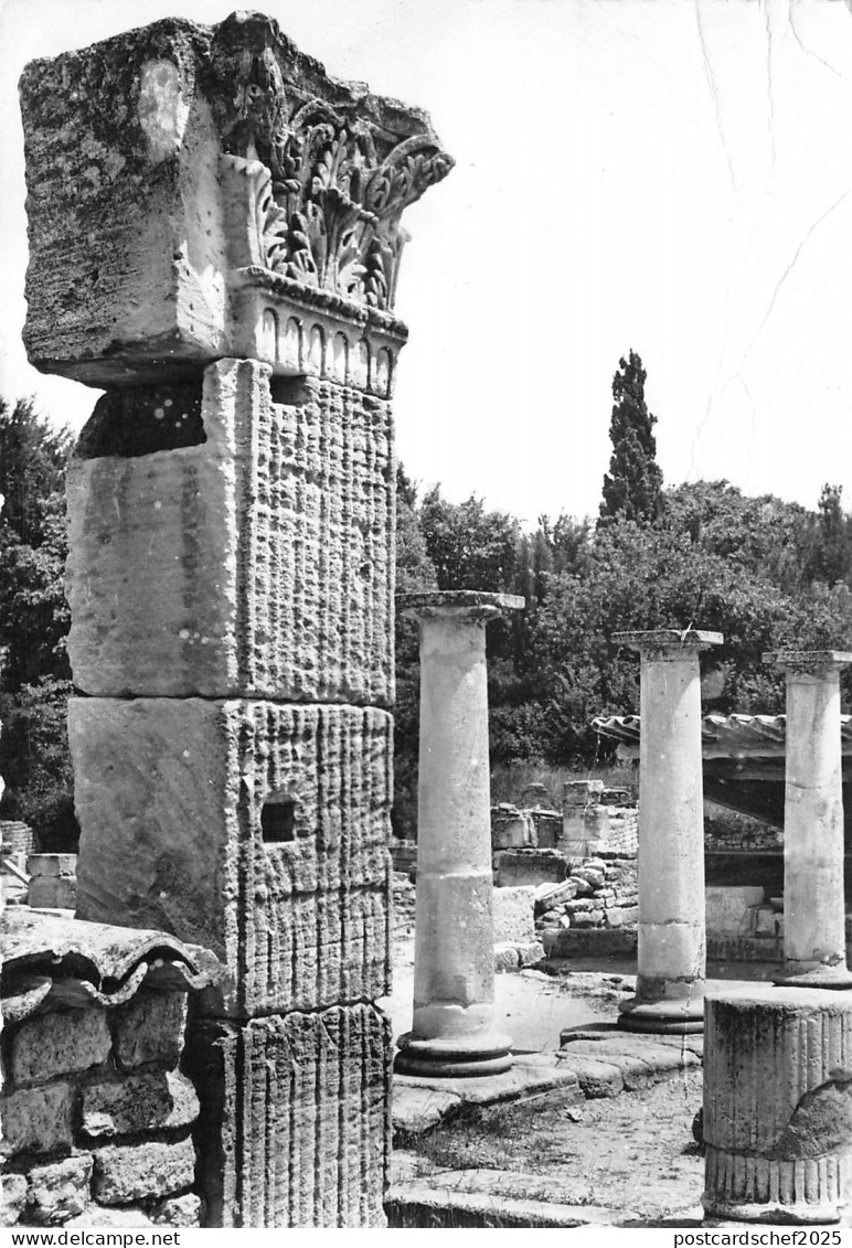 BR7663 Saint remy de Provence Les ruines de Glanum   france