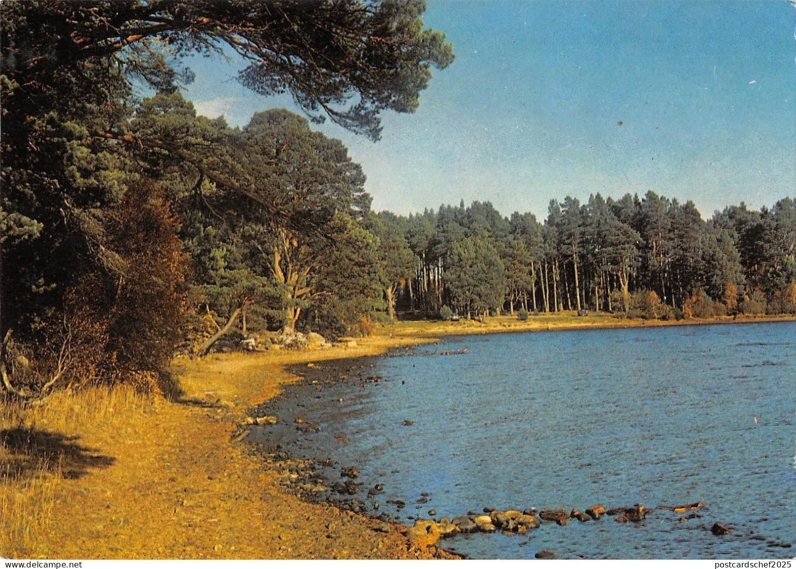 BR82110 loch garten inverness shire  scotland
