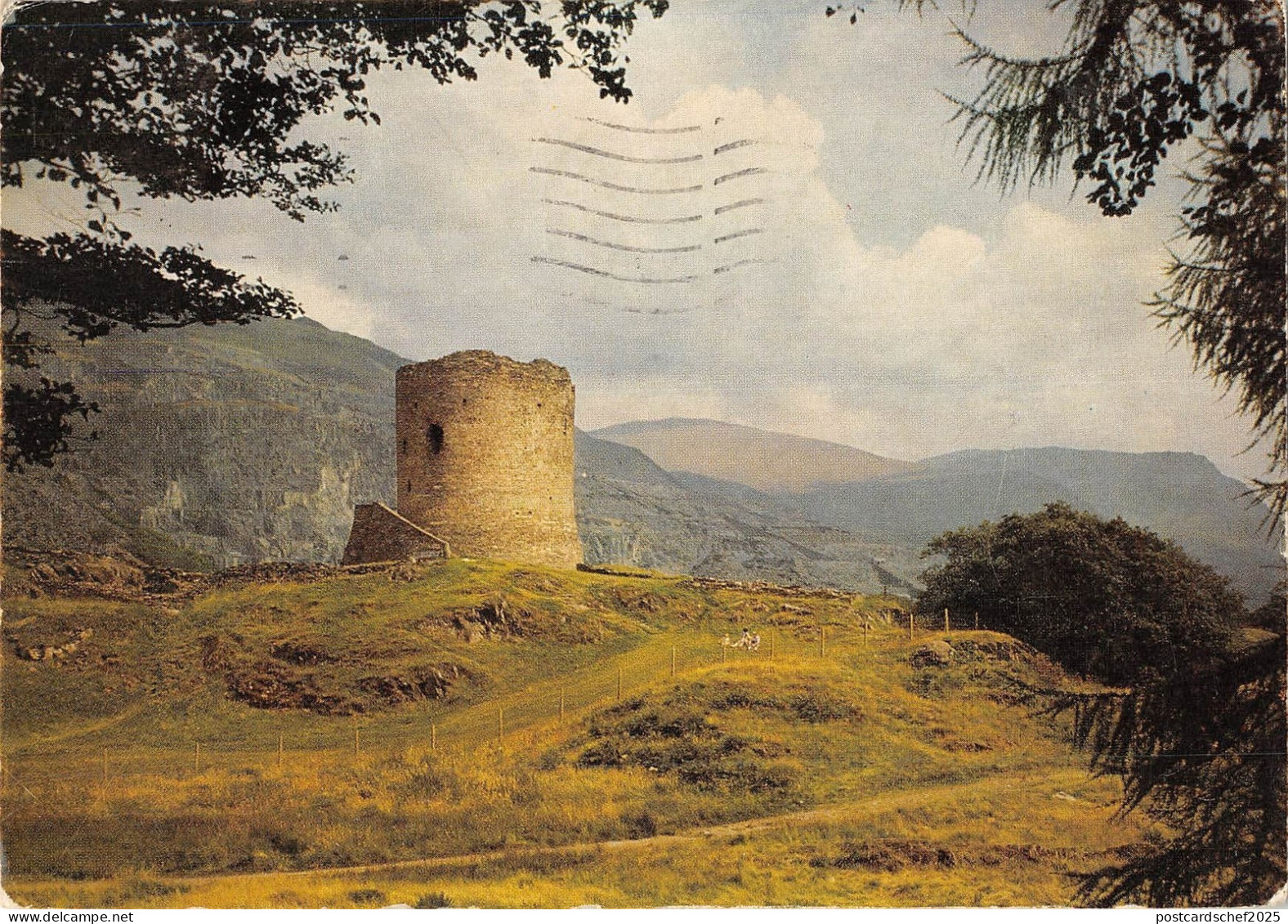 BR82450 dolbadarnn castle gwynedd wales