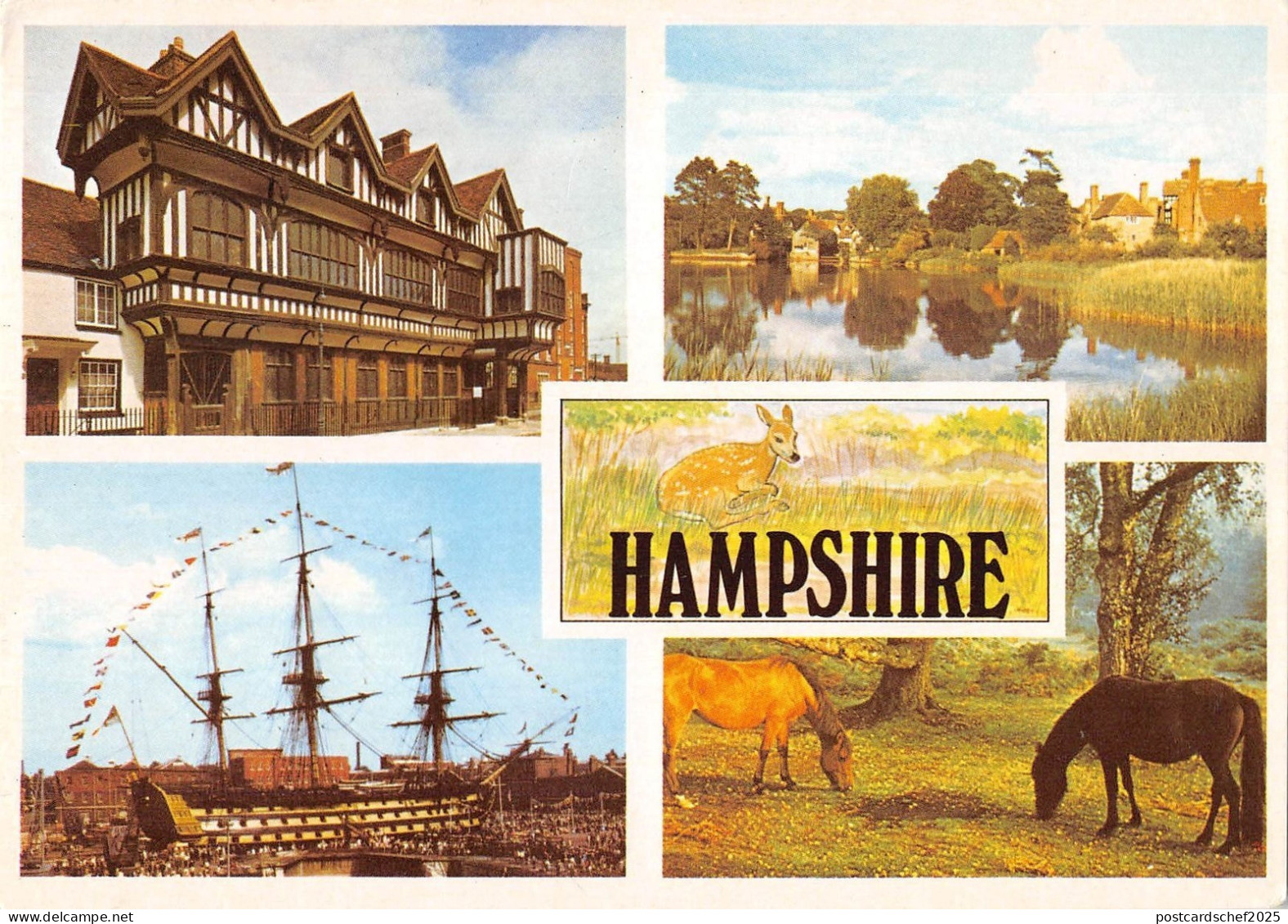 BR83155 hampshire beauty spots horse uk