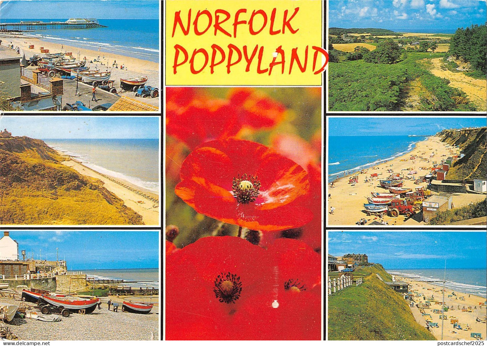 BR83496 norfolk poppyland   uk