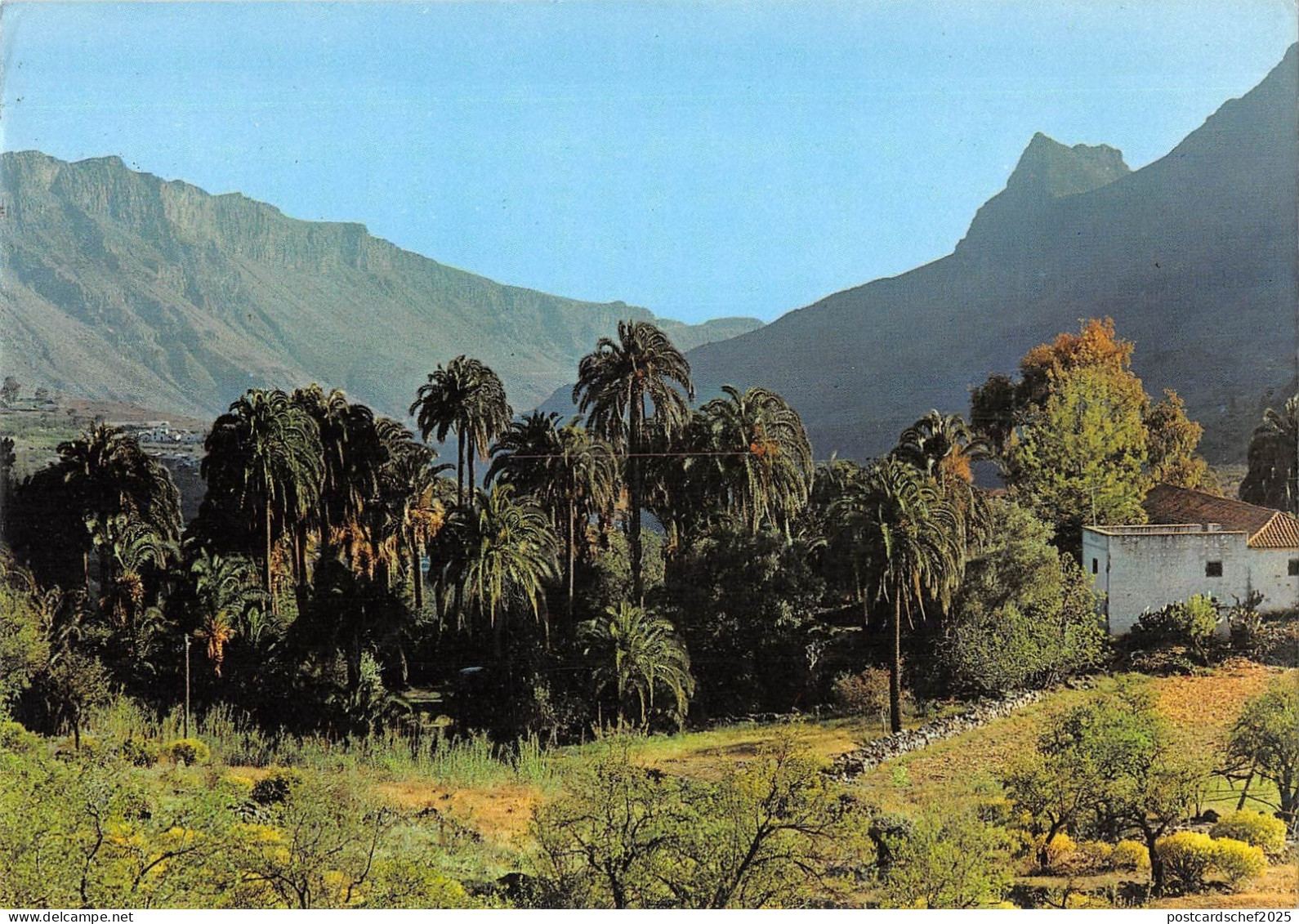 BR84646 gran canaria tipismo canaria spain