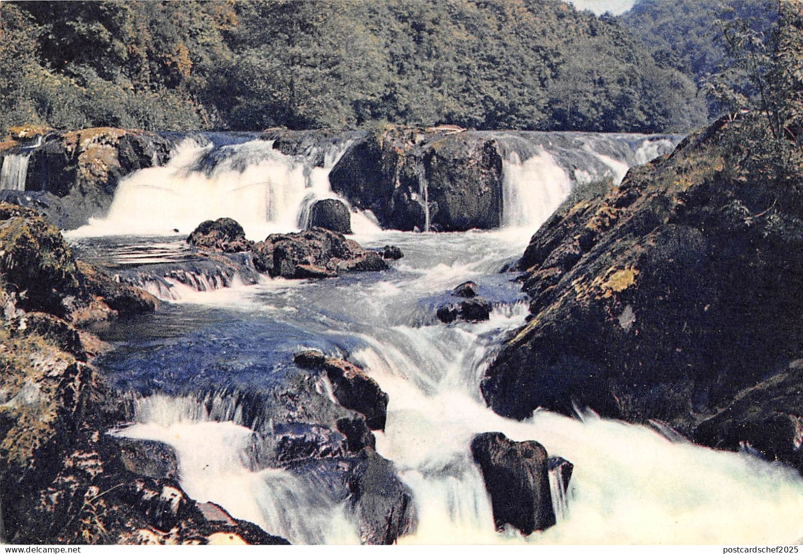 BR89631 salmon leap  falls cenarth cardiganshire wales