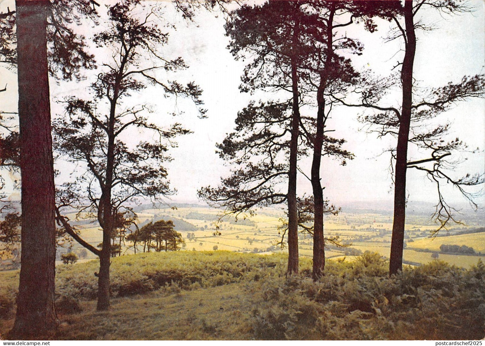 BR90087 croft castle leominster herefordshire uk