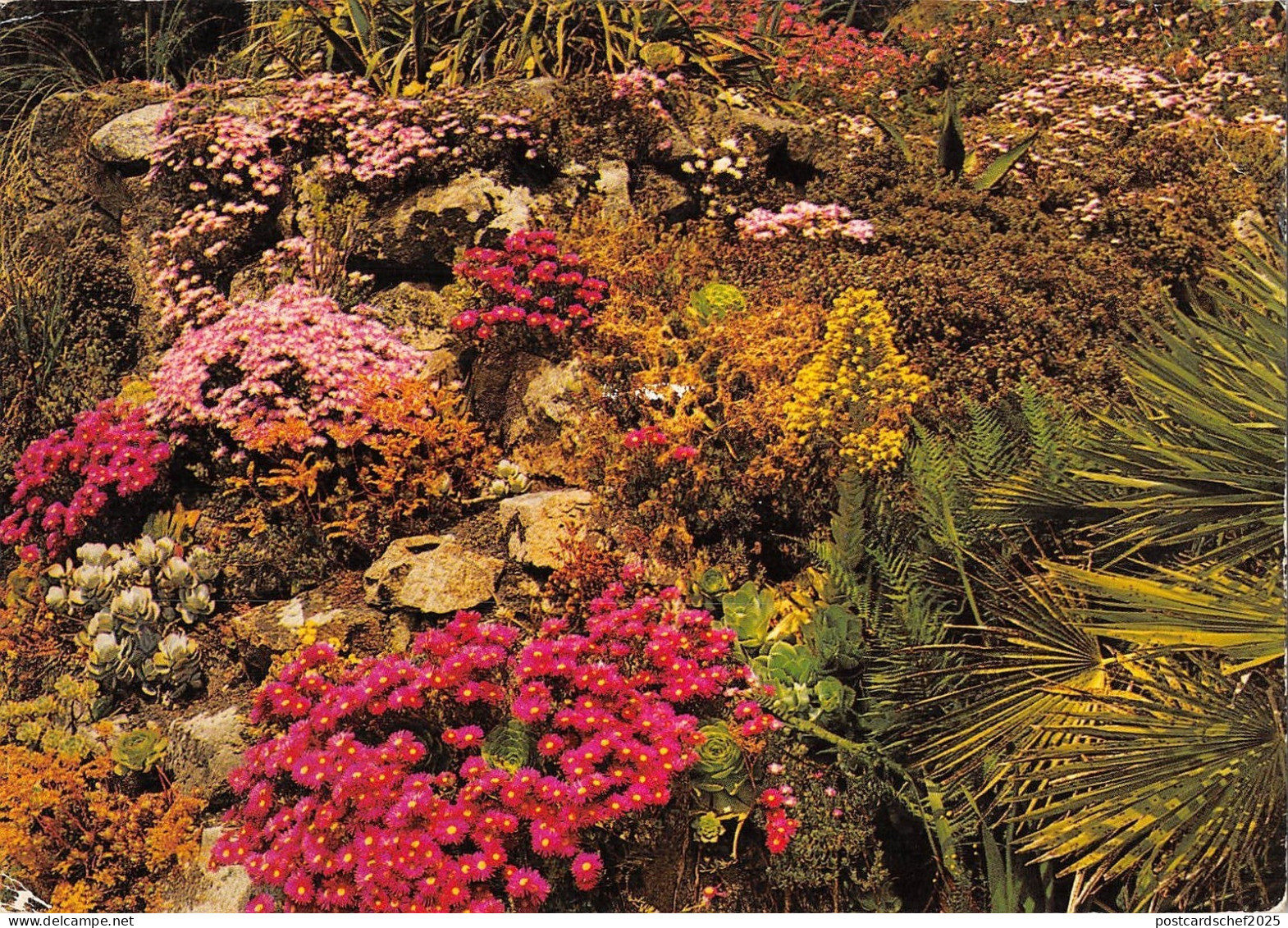 BR90780 tresco gardens isles of scilly 1 uk