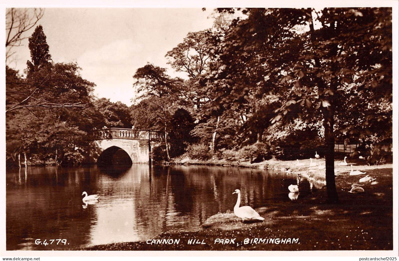 BR99519 cannon hill park birmingham swan valentine g 4779  uk